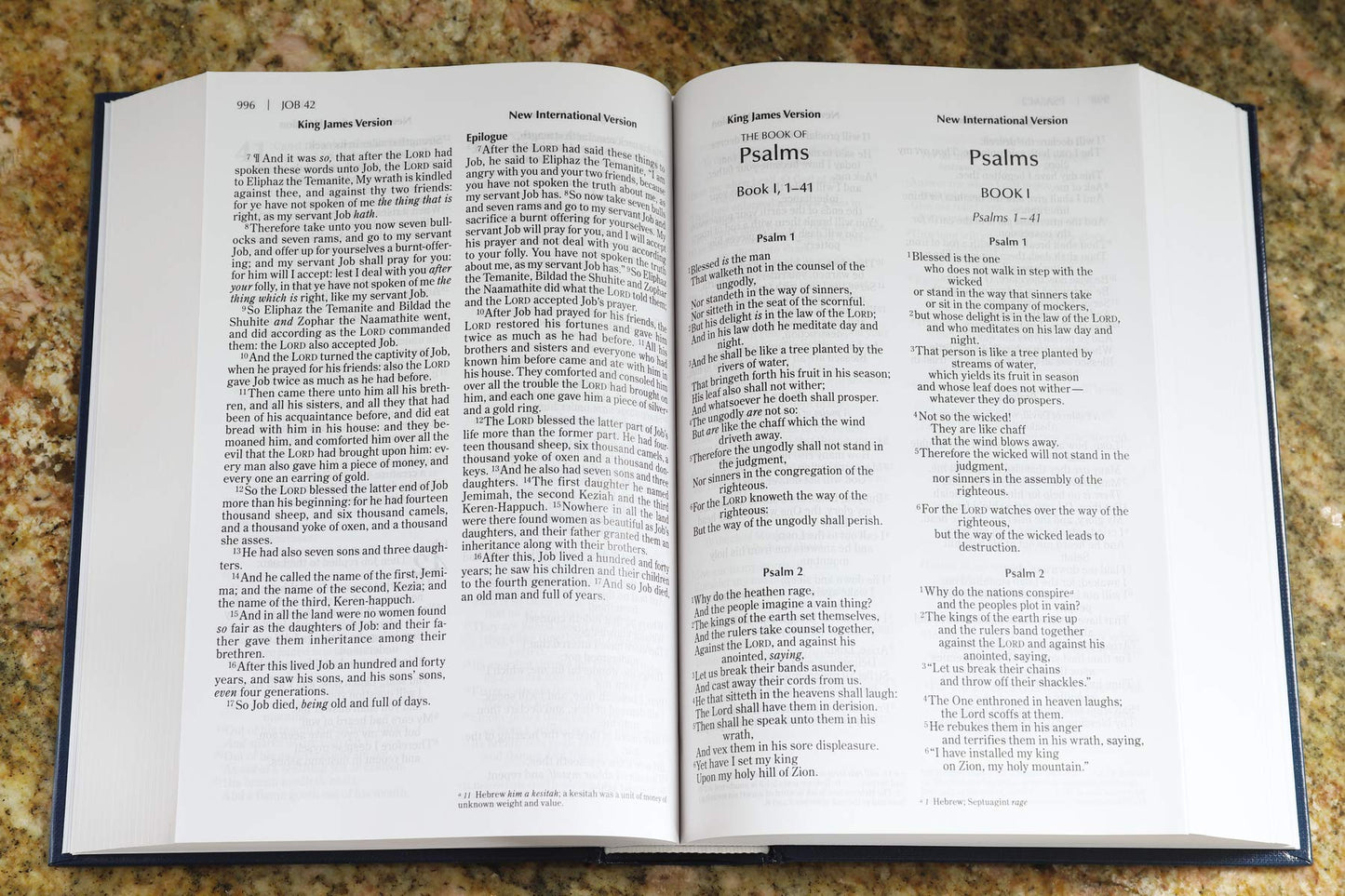 NIV, KJV, Parallel Bible, Large Print, Hardcover: God's Unchanging Word Across the Centuries