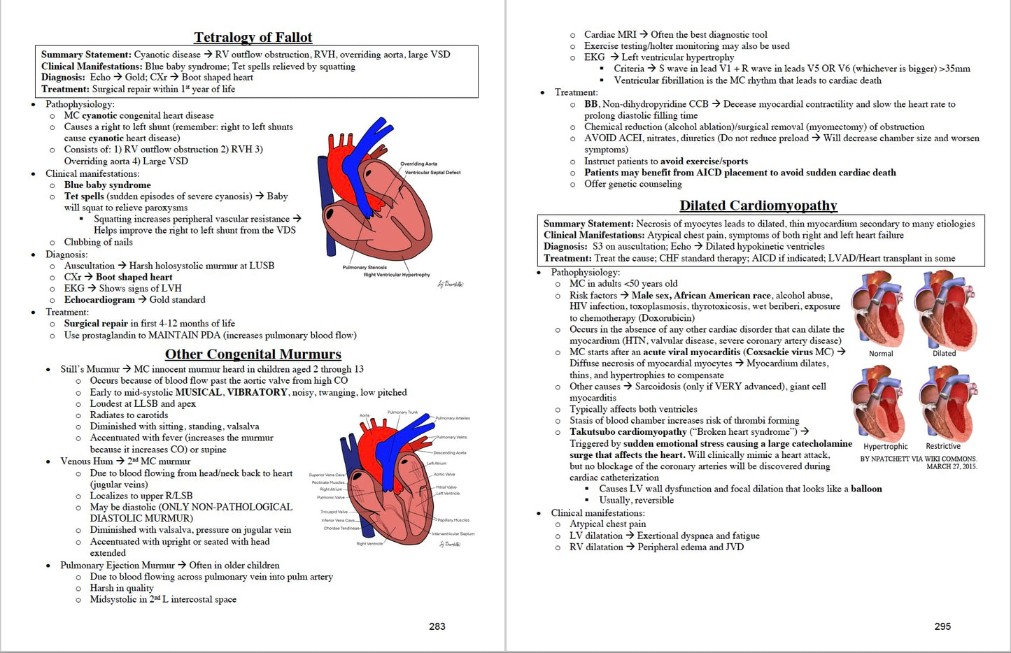 FIRST LINE GUIDE: A COMPREHENSIVE REVIEW OF DIDACTIC AND CLINICAL MEDICINE