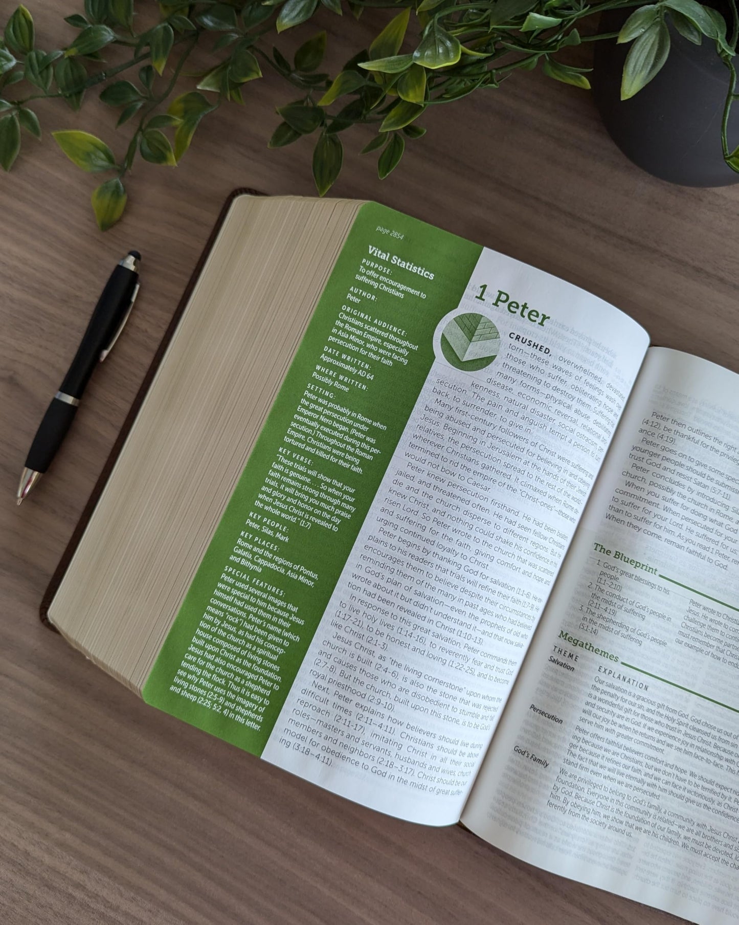 NLT Life Application Study Bible, Third Edition, Large Print (LeatherLike, Rustic Brown Leaf, Indexed, Red Letter)