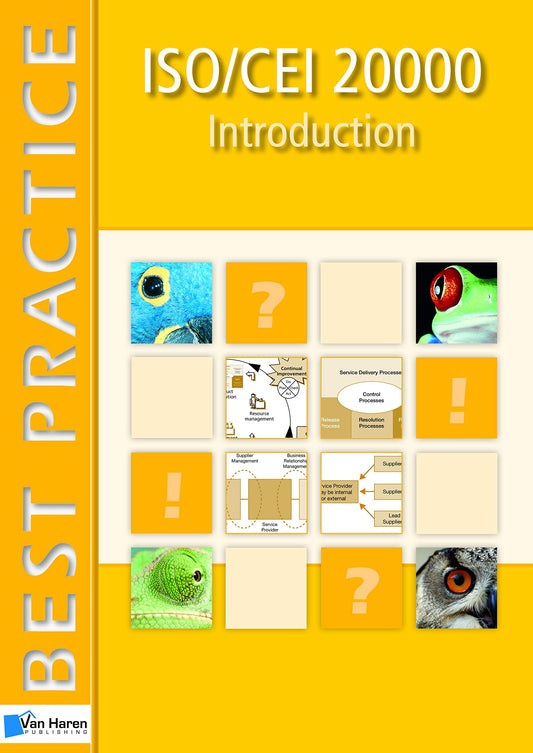 ISO/CEI 20000: Introduction (French Edition)