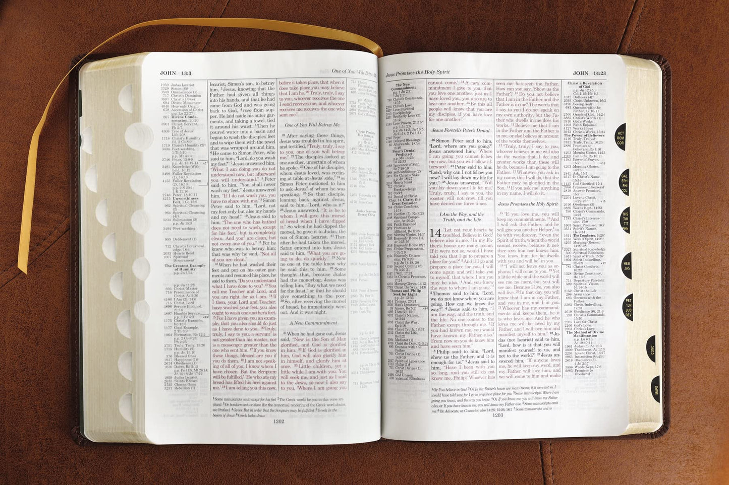 ESV, Thompson Chain-Reference Bible, Leathersoft, Brown, Red Letter, Thumb Indexed