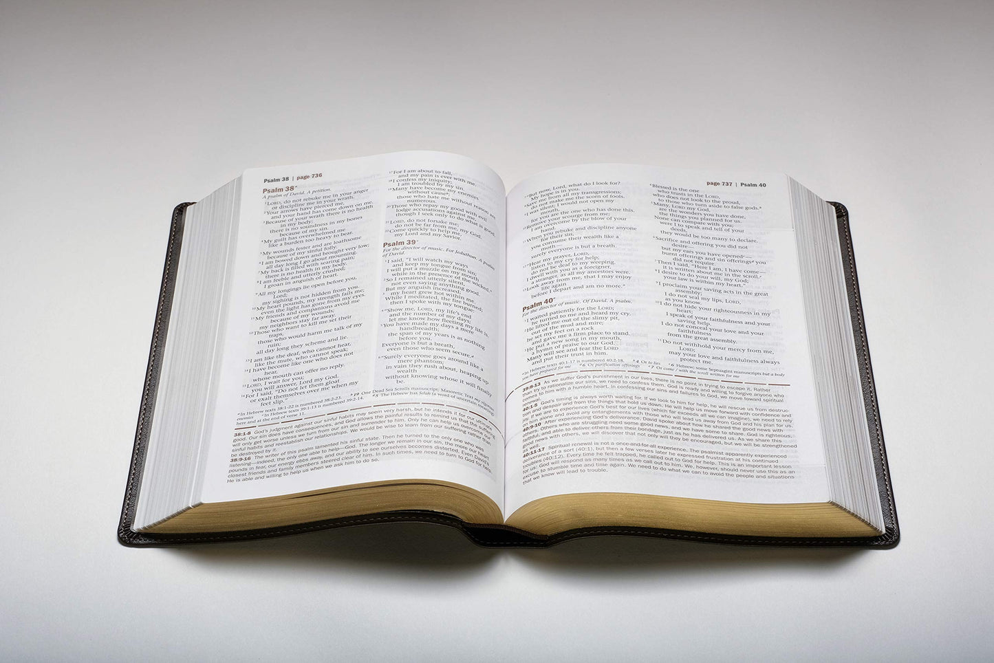 Every Man's Bible: New Living Translation, Deluxe Explorer Edition (LeatherLike, Brown) – Study Bible for Men with Study Notes, Book Introductions, and 44 Charts