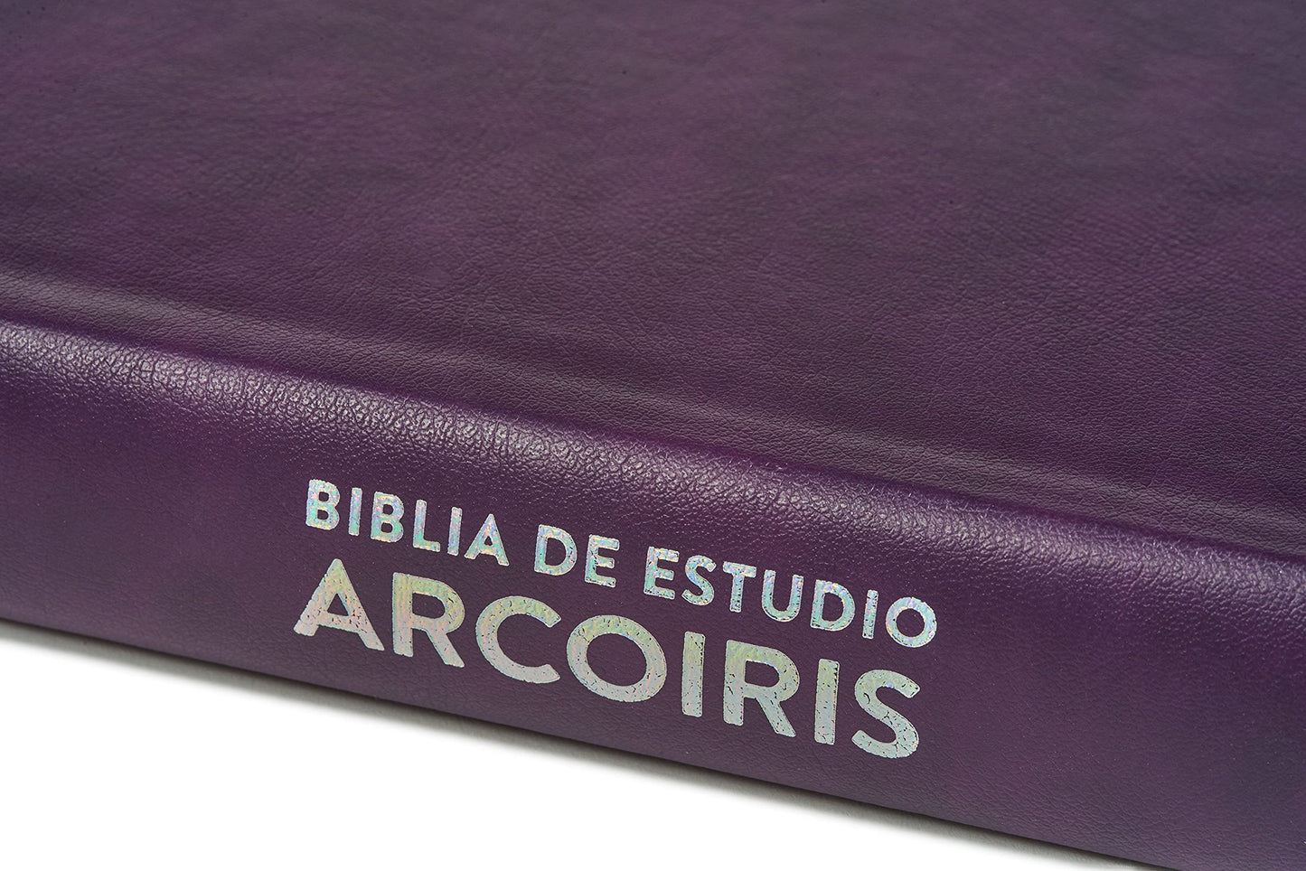 Reina Valera 1960 Biblia de Estudio Arcoíris, morado/multicolor | RVR 1960 Rainbow Study Bible Purple/multicolor LeatherTouch (Spanish Edition)