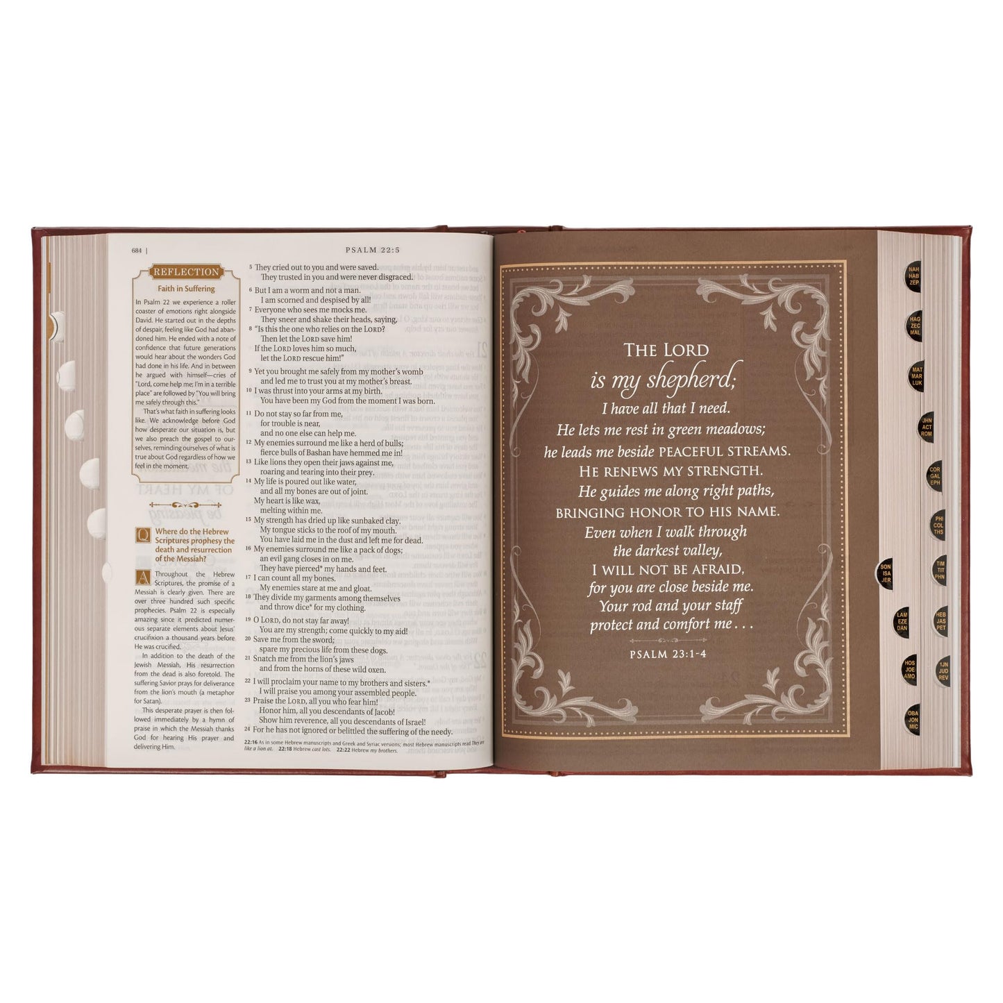 NLT Family Heritage Bible, Large Print Family Heirloom Devotional Bible for Study, New Living Translation Holy Bible Vegan Leather Hardcover, ... Content, Brown (NLT Family Heritage Editions)