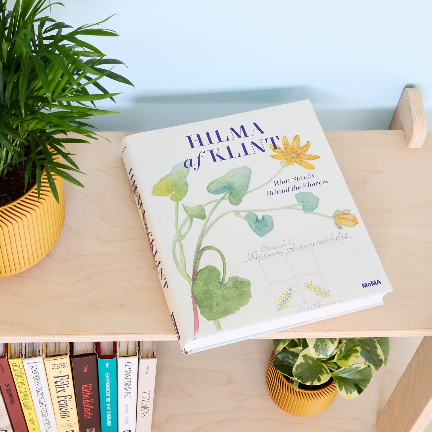 Hilma af Klint: What Stands Behind the Flowers