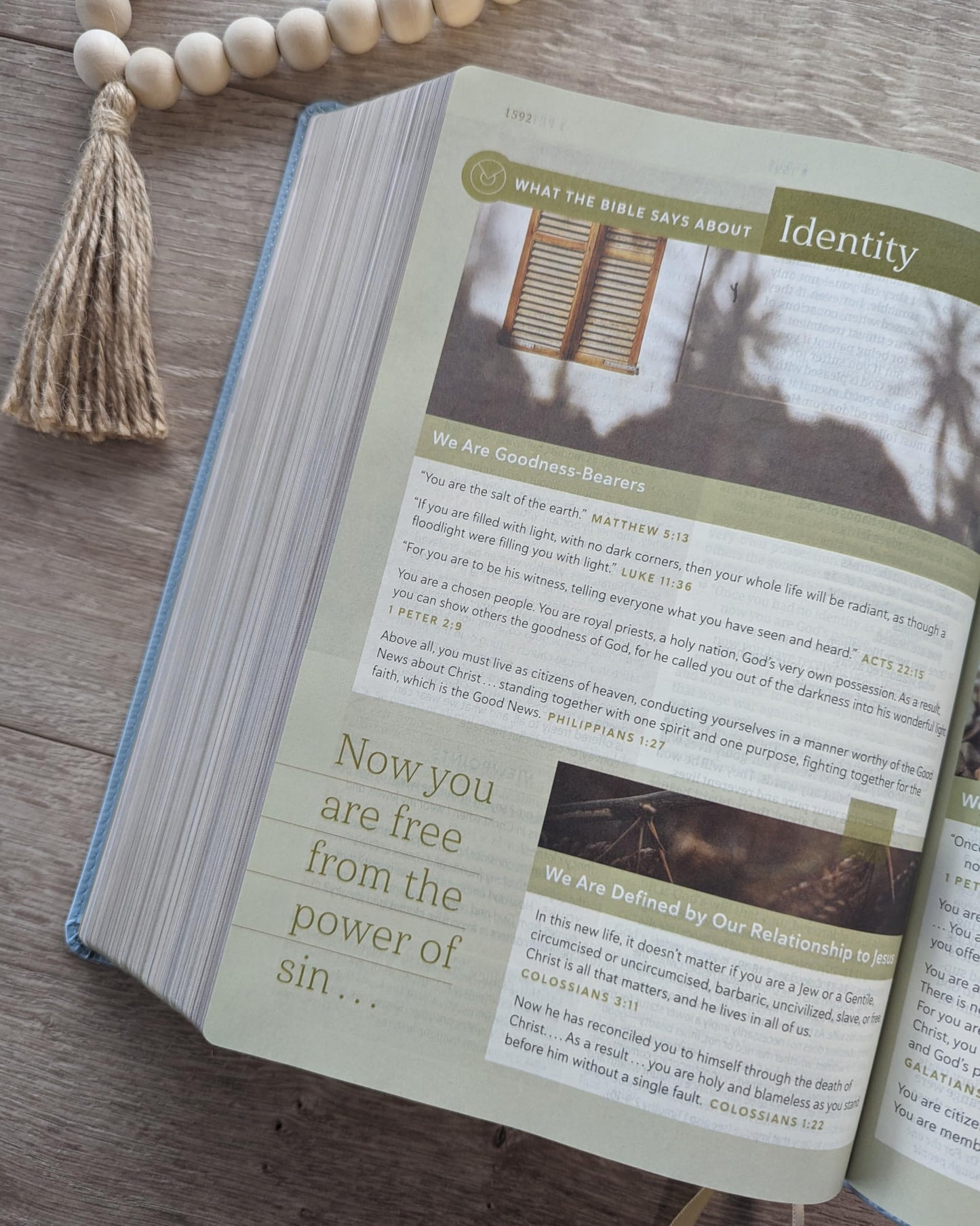 NLT Every Woman’s Bible, Filament Enabled (LeatherLike, Sky Blue, Red Letter)