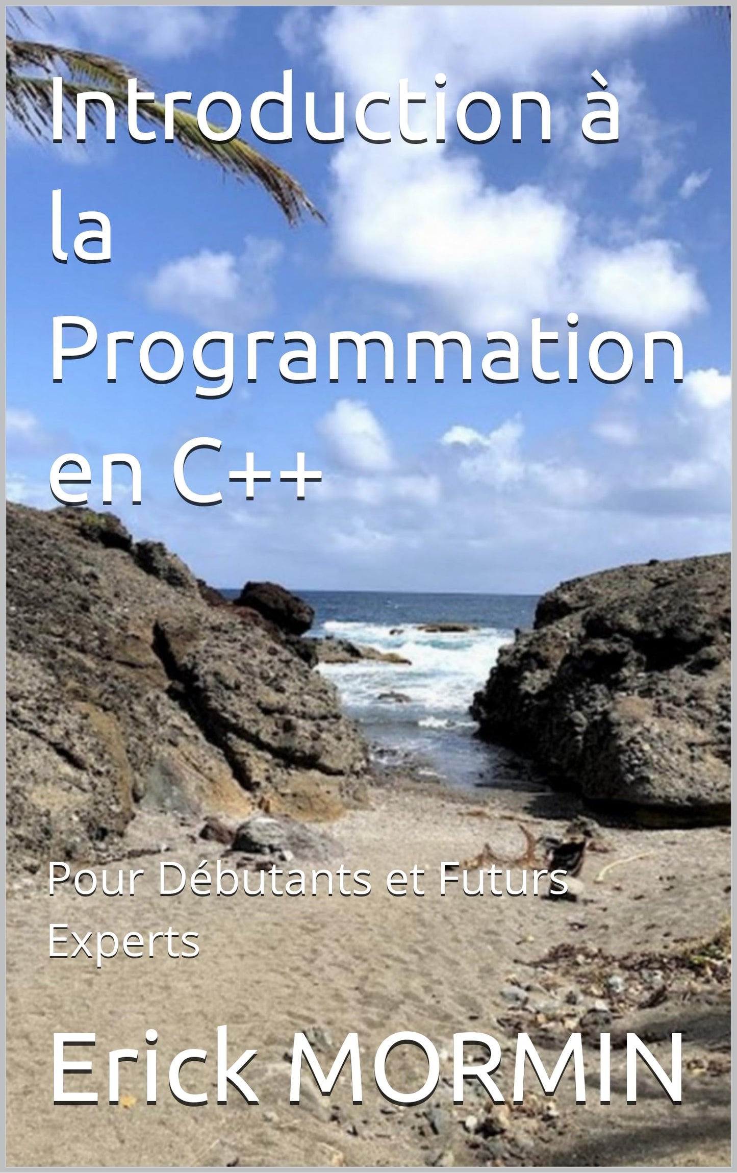 Introduction à la Programmation en C++: Pour Débutants et Futurs Experts (French Edition)