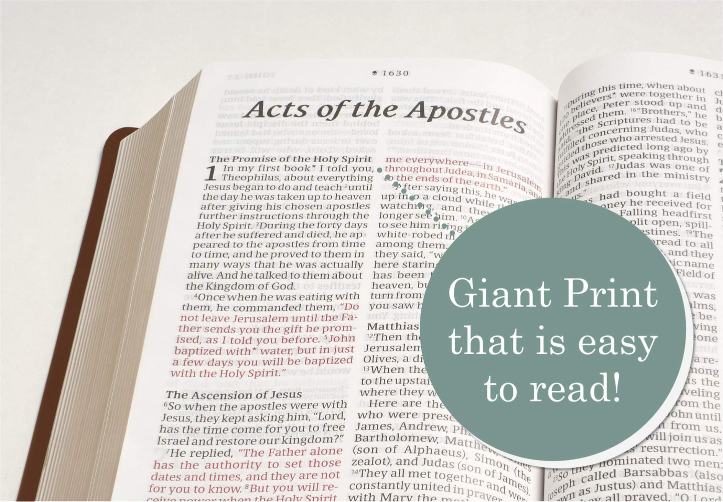 NLT Personal Size Giant Print Bible, Filament Enabled (Genuine Leather, Brown, Indexed, Red Letter): Includes Free Access to the Filament Bible App ... Notes, Devotionals, Worship Music, and Video