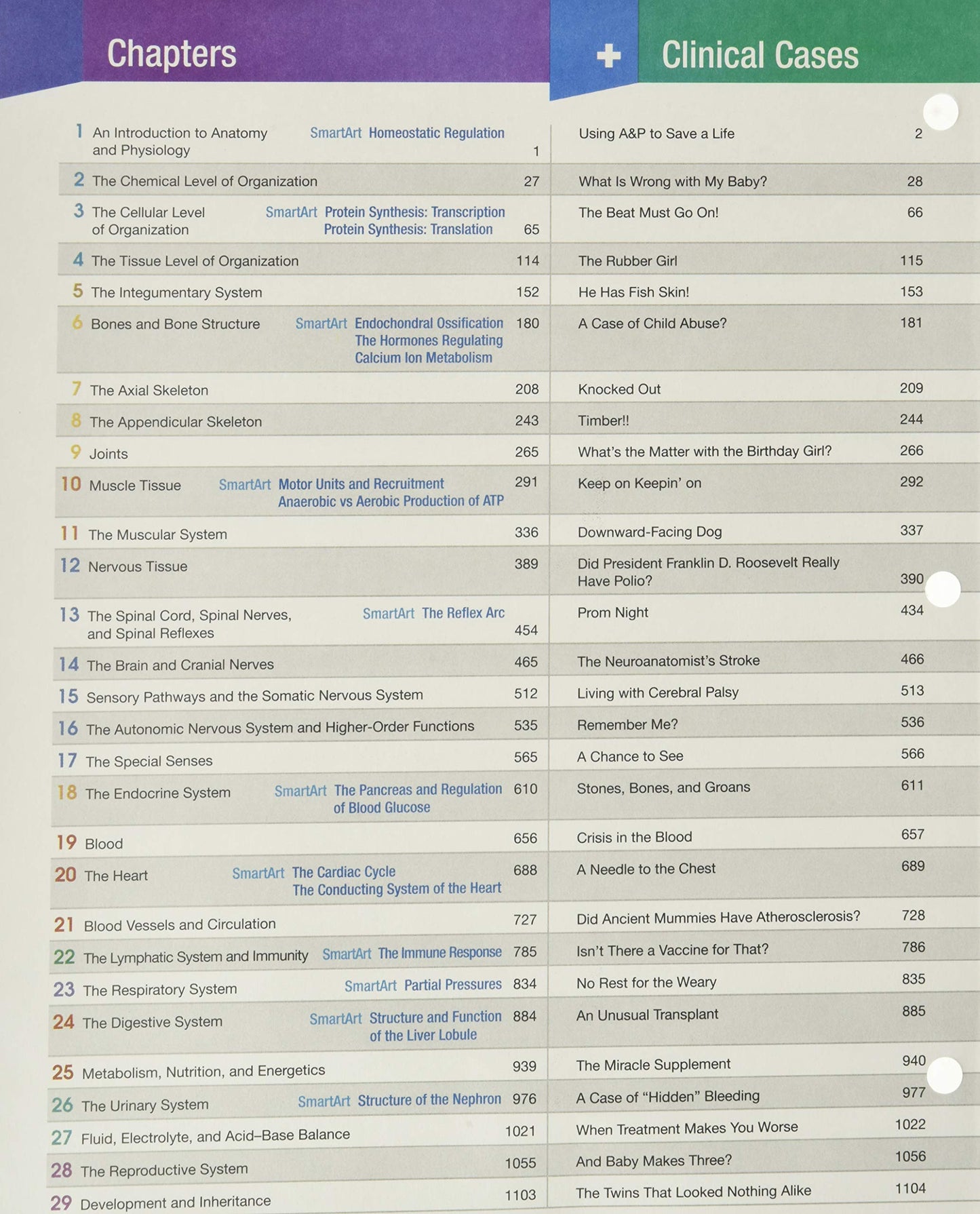 Fundamentals of Anatomy & Physiology