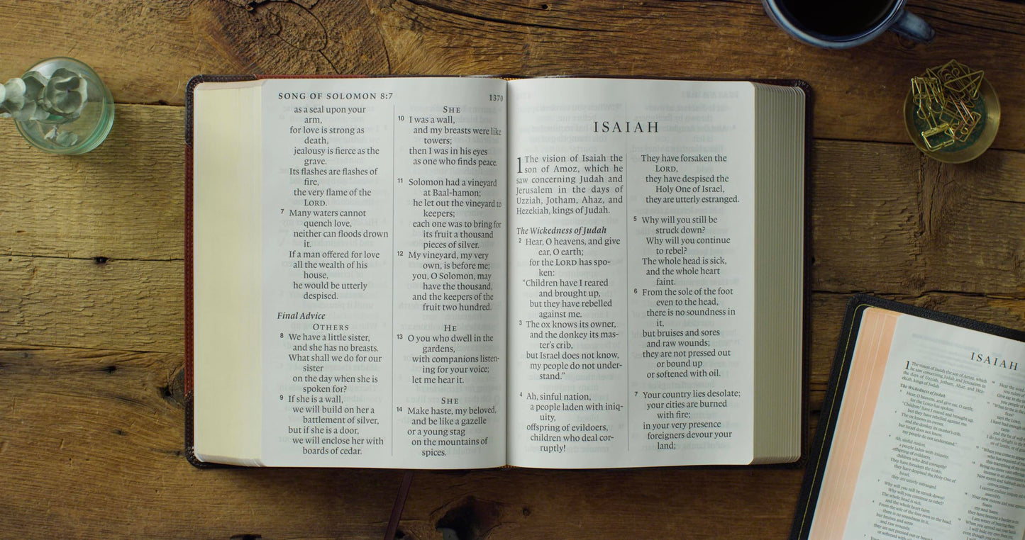 ESV Super Giant Print Bible (TruTone, Brown/Cordovan, Portfolio Design): Holy Bible, English Standard Version