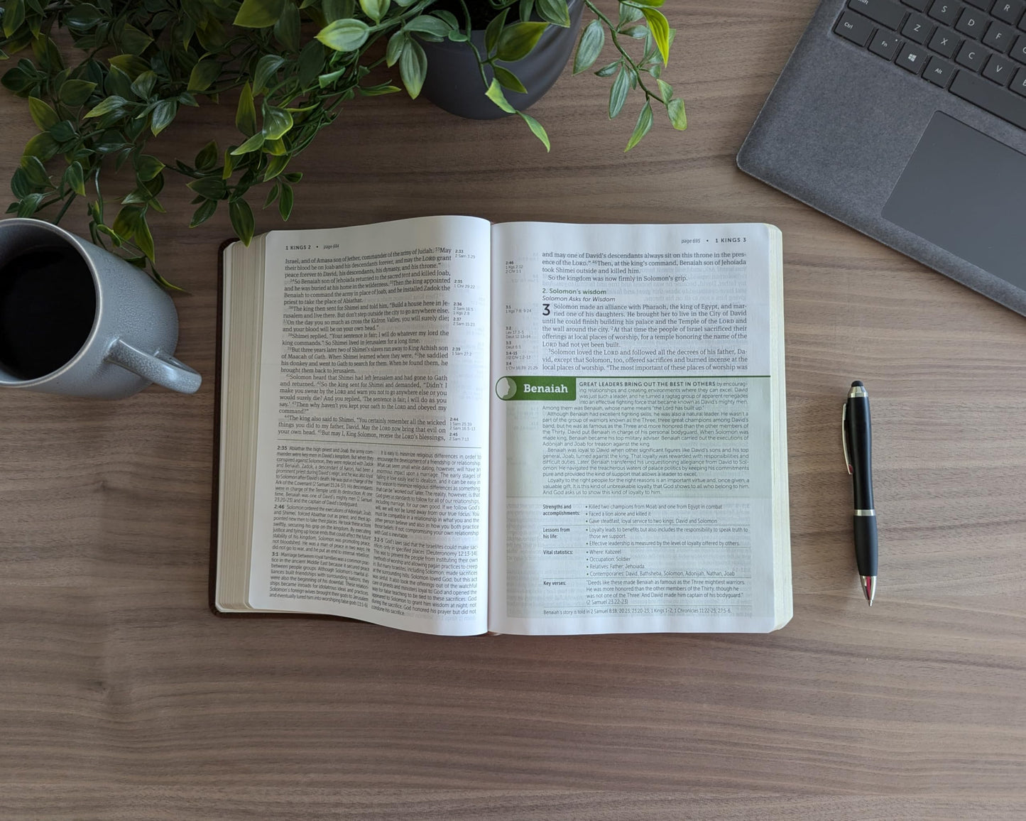 NLT Life Application Study Bible, Third Edition, Large Print (LeatherLike, Rustic Brown Leaf, Red Letter)