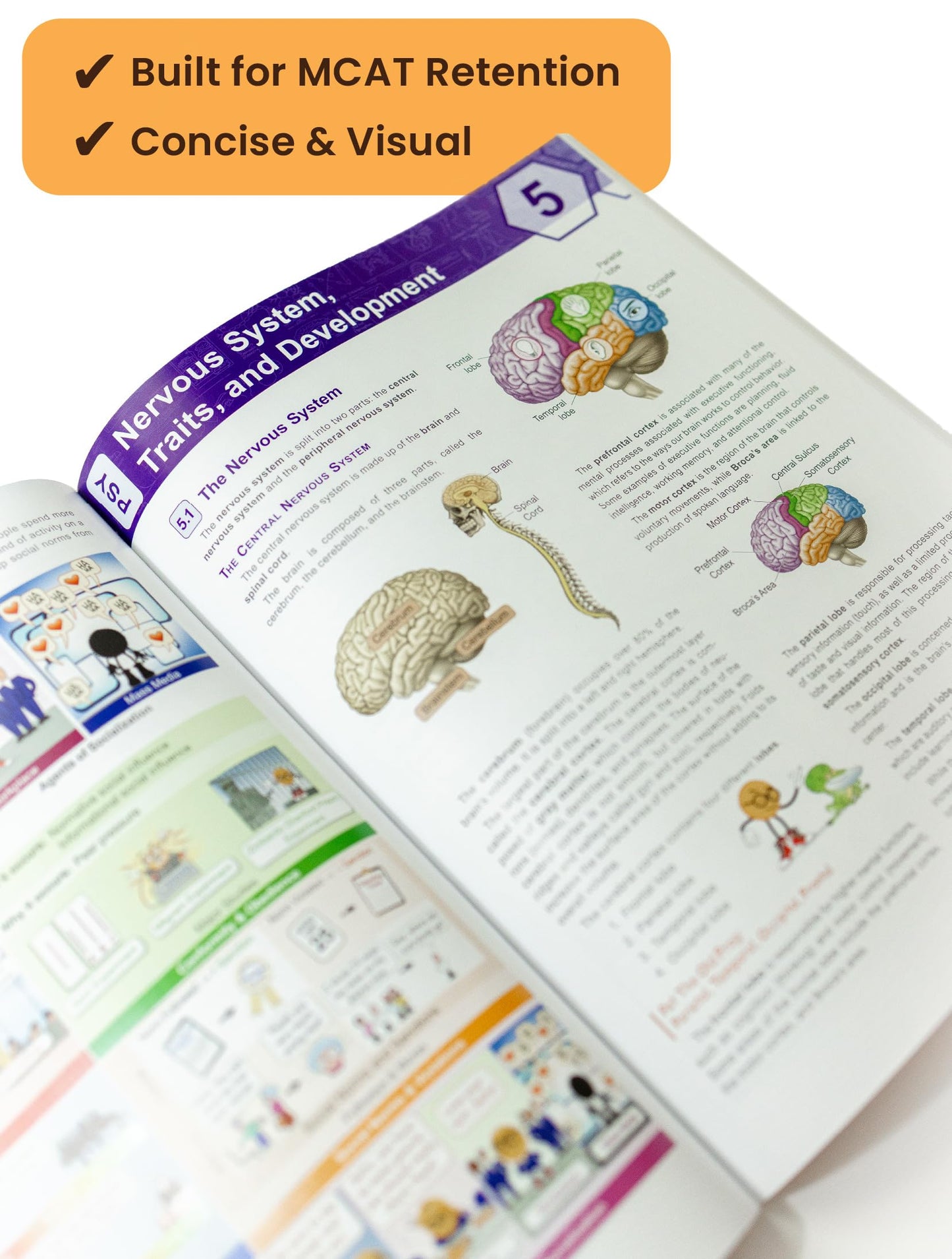 Examkrackers MCAT Complete Study Package, 12th Edition - Krack University (2025-2026): 7 MCAT Prep Books, 3 Full-Length MCATs, and 44 mini-MCATs