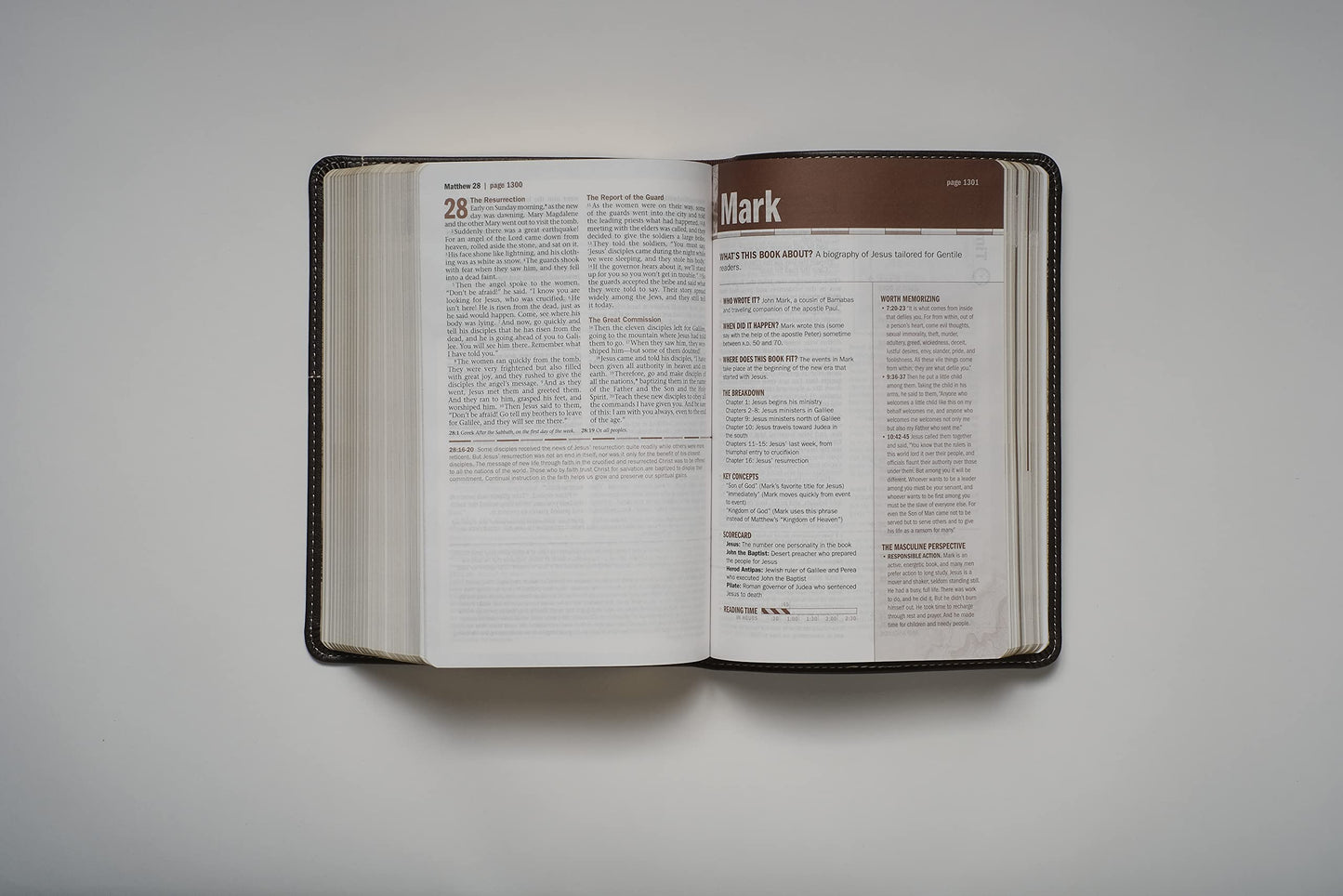 Every Man's Bible NLT (LeatherLike, East–West Grey)