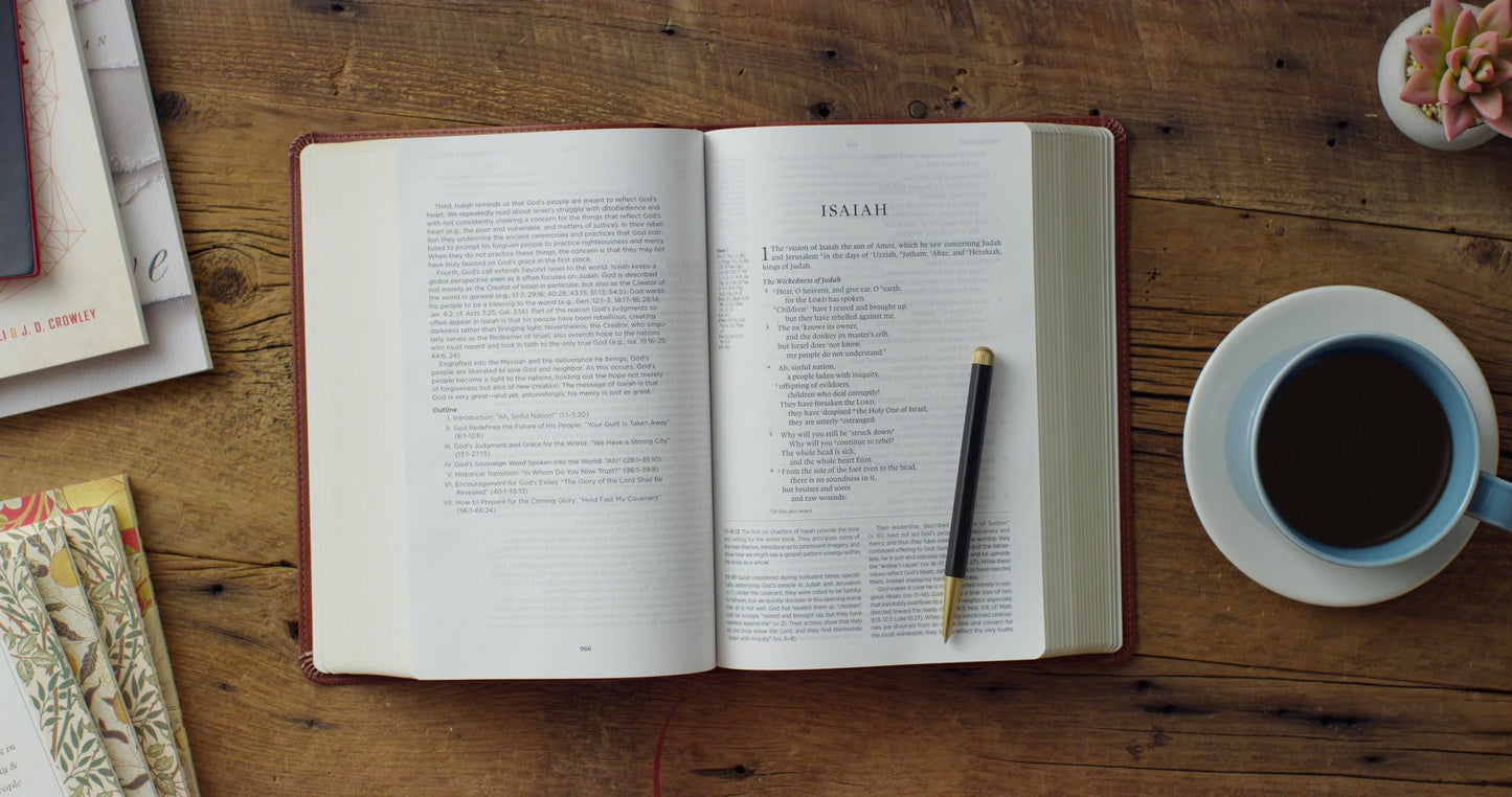 ESV Gospel Transformation Study Bible: Christ in All of Scripture, Grace for All of Life® (TruTone, Chestnut)