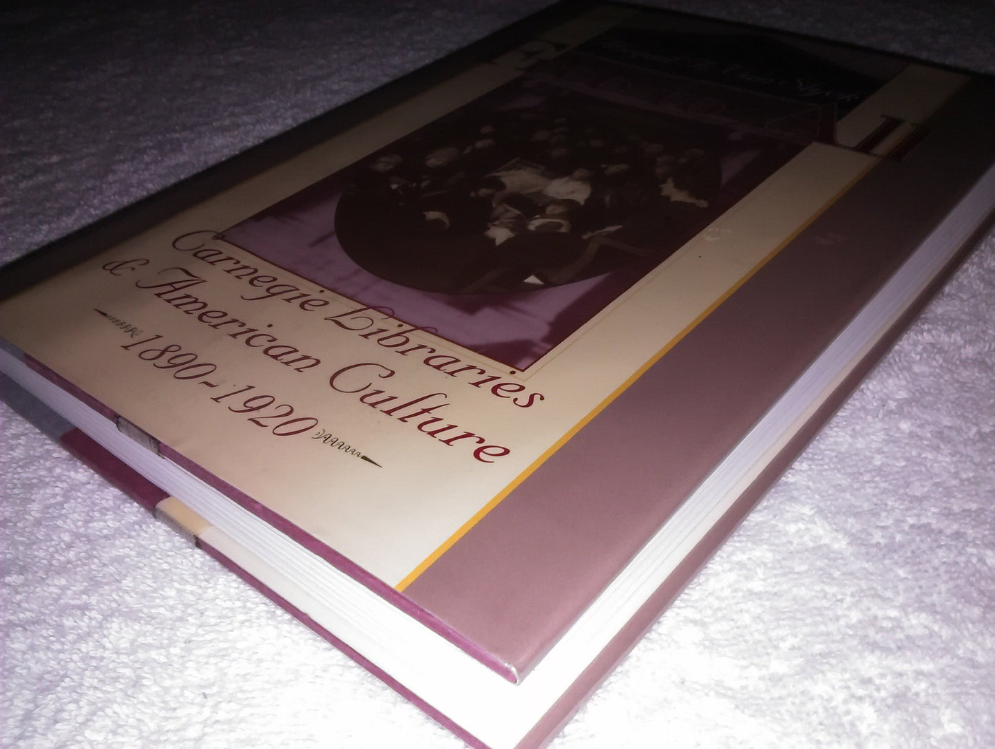 Free to All: Carnegie Libraries & American Culture, 1890-1920