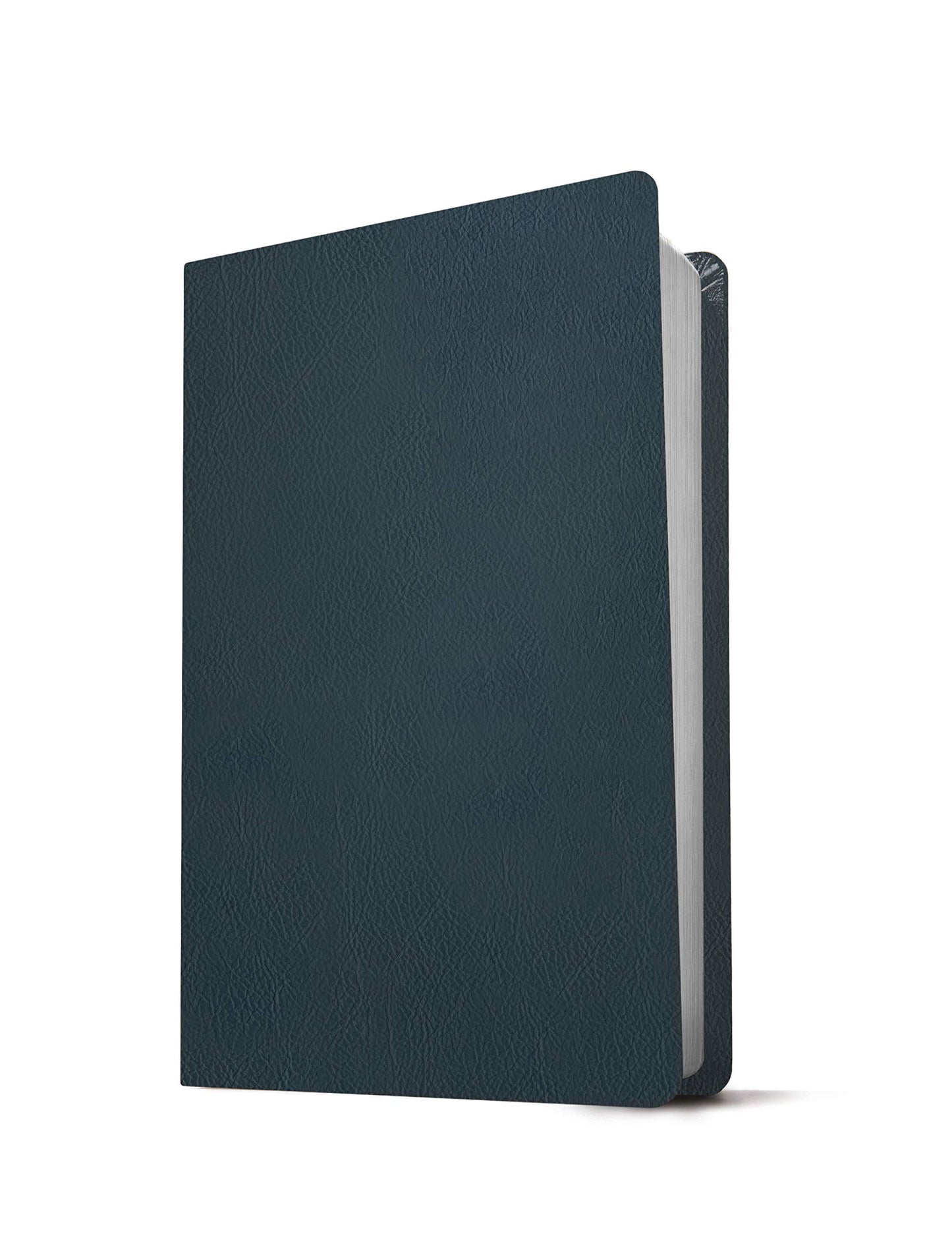 NLT Large Print Thinline Reference Holy Bible (Red Letter, Genuine Leather, Navy Blue, Indexed): Includes Free Access to the Filament Bible App ... Notes, Devotionals, Worship Music, and Video