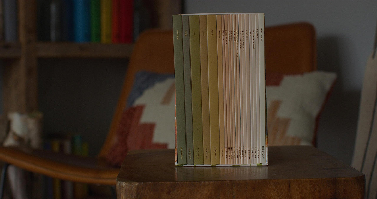 ESV Scripture Journal: New Testament Set (Artwork by Ruth Chou Simons) (Paperback)