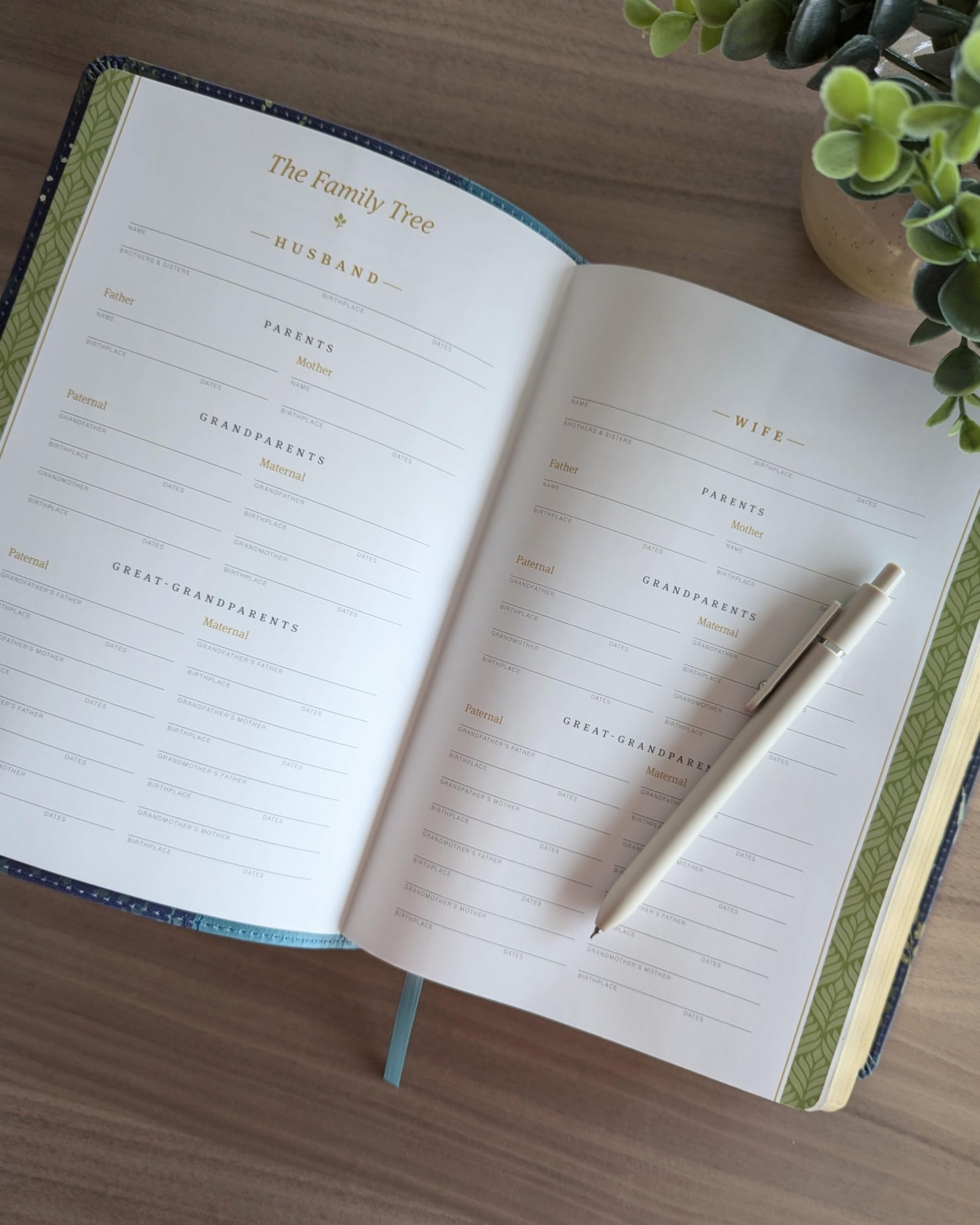 NLT Life Application Study Bible, Third Edition, Large Print (LeatherLike, Meadow Teal, Red Letter)