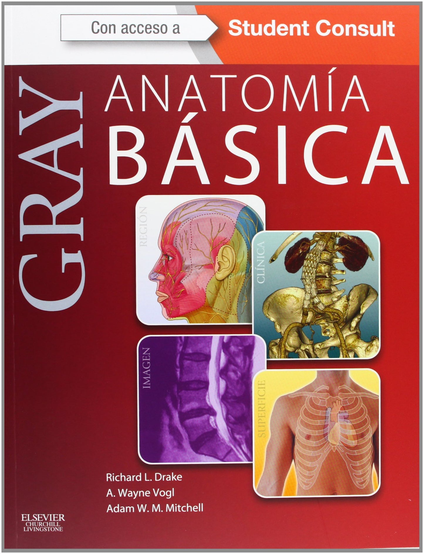 Gray. Anatomía básica + StudentConsult (Spanish Edition)