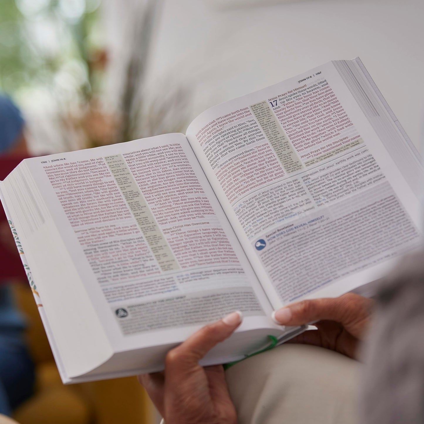 Evangelical Study Bible: Christ-centered. Faith-building. Mission-focused. (NKJV, Hardcover, Red Letter, Large Comfort Print)