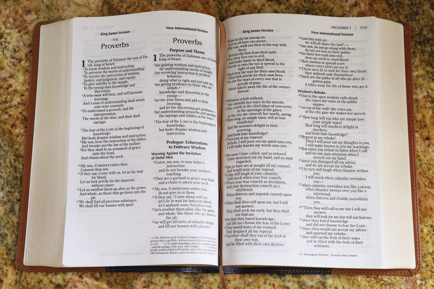 NIV, KJV, Parallel Bible, Large Print, Leathersoft, Navy/Tan: The World's Two Most Popular Bible Translations Together