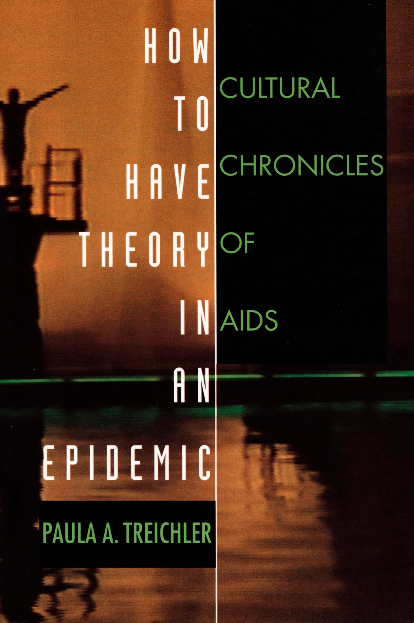 How to Have Theory in an Epidemic: Cultural Chronicles of AIDS