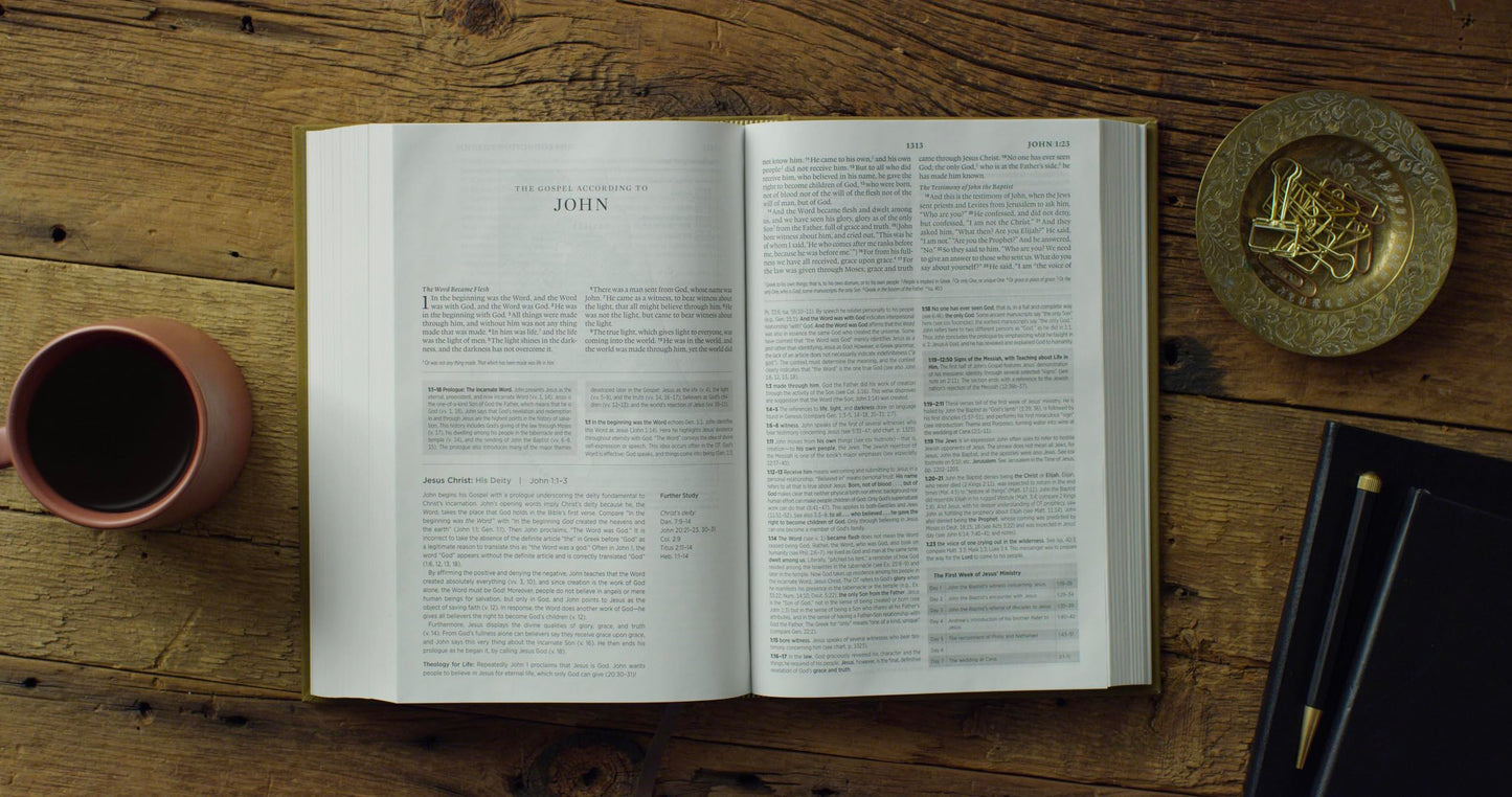 ESV Systematic Theology Study Bible: Theology Rooted in the Word of God (Cloth over Board, Ochre)