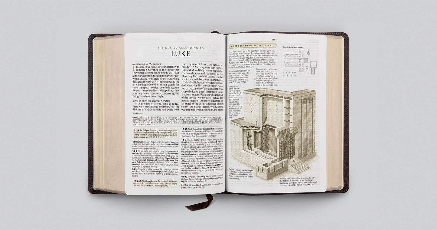 ESV Study Bible, Large Print (Buffalo Leather, Deep Brown): Holy Bible, English Standard Version