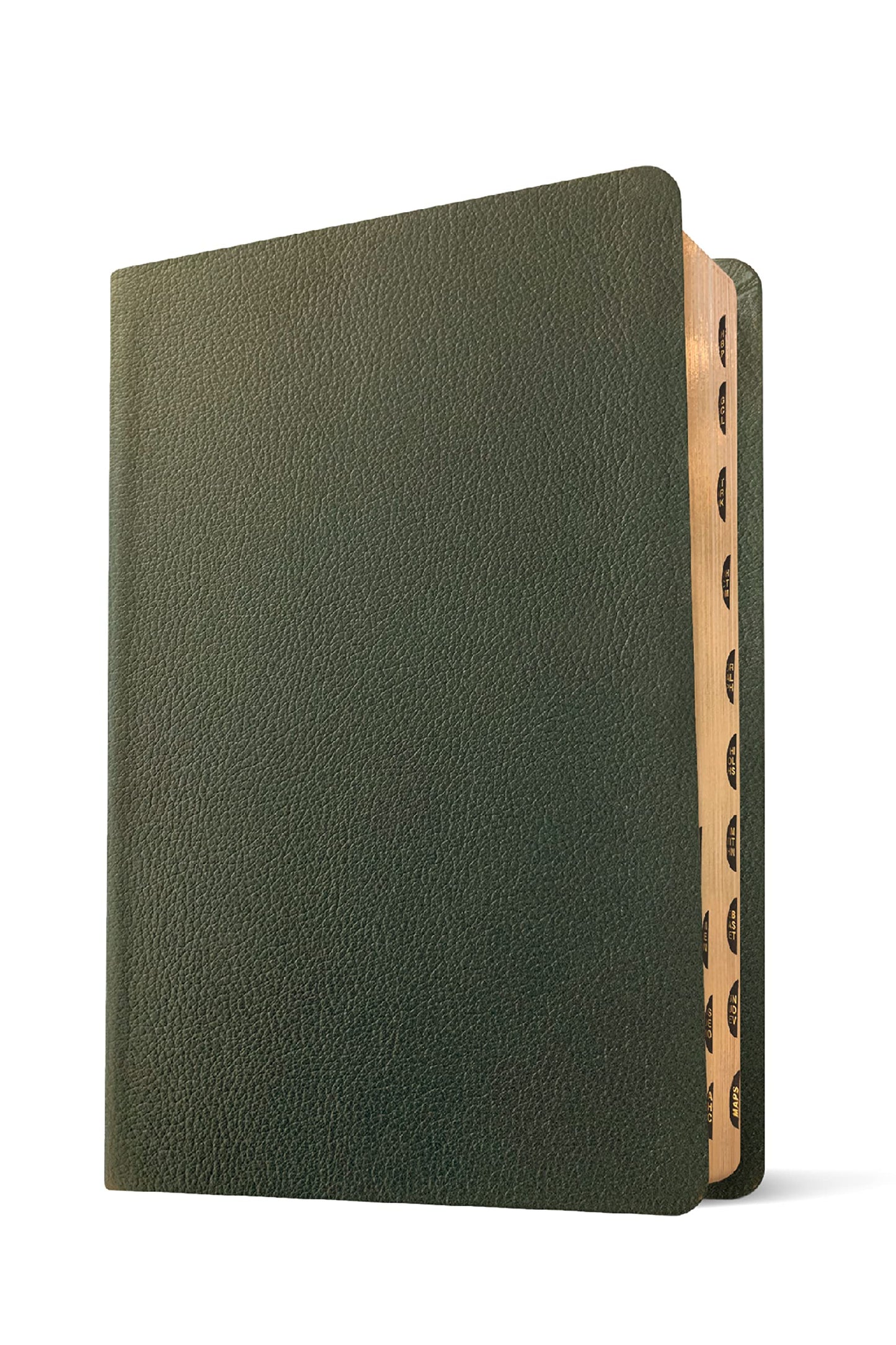 NLT Personal Size Giant Print Bible, Filament Enabled (Genuine Leather, Olive Green, Indexed, Red Letter)