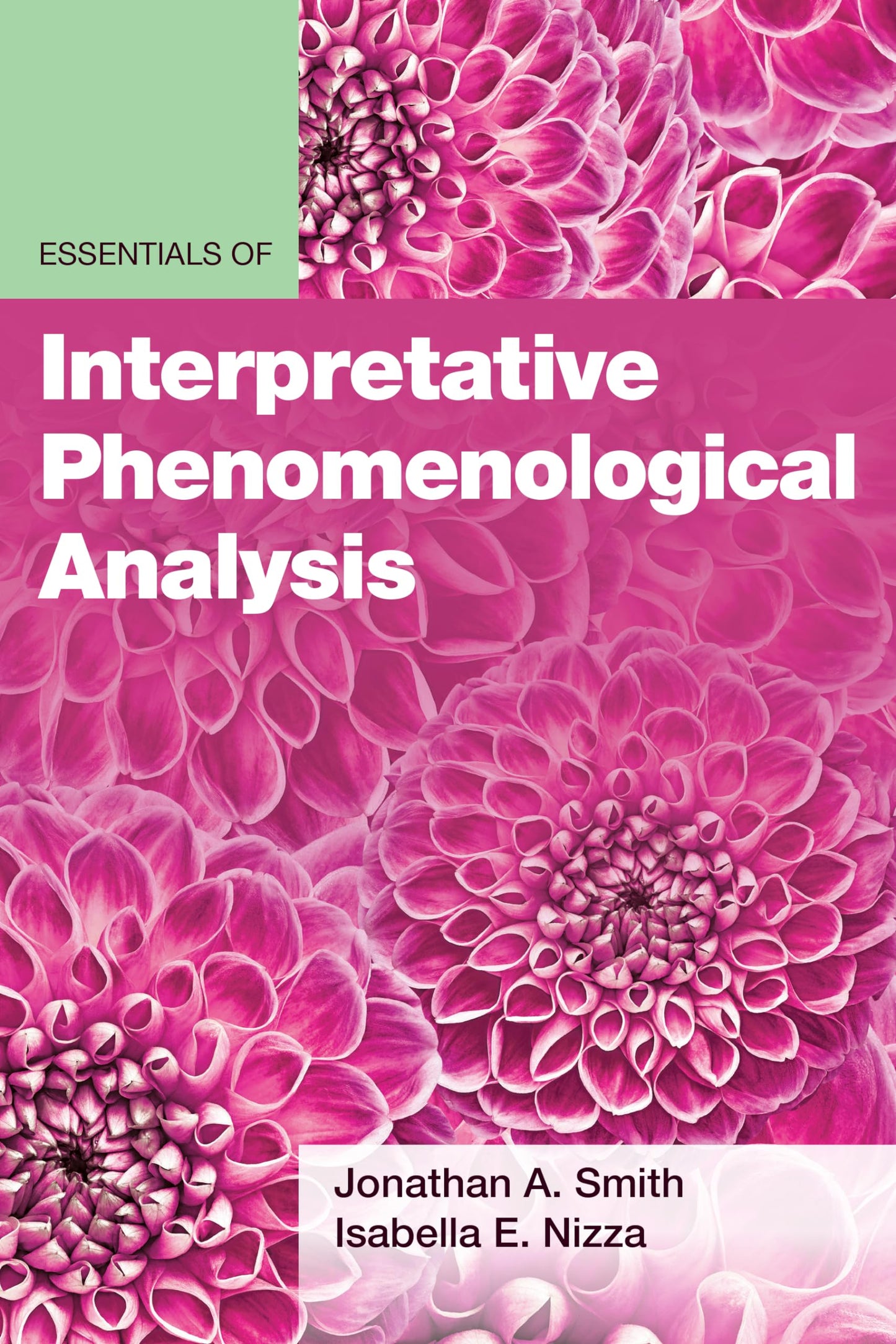 Essentials of Interpretative Phenomenological Analysis (Essentials of Qualitative Methods Series)