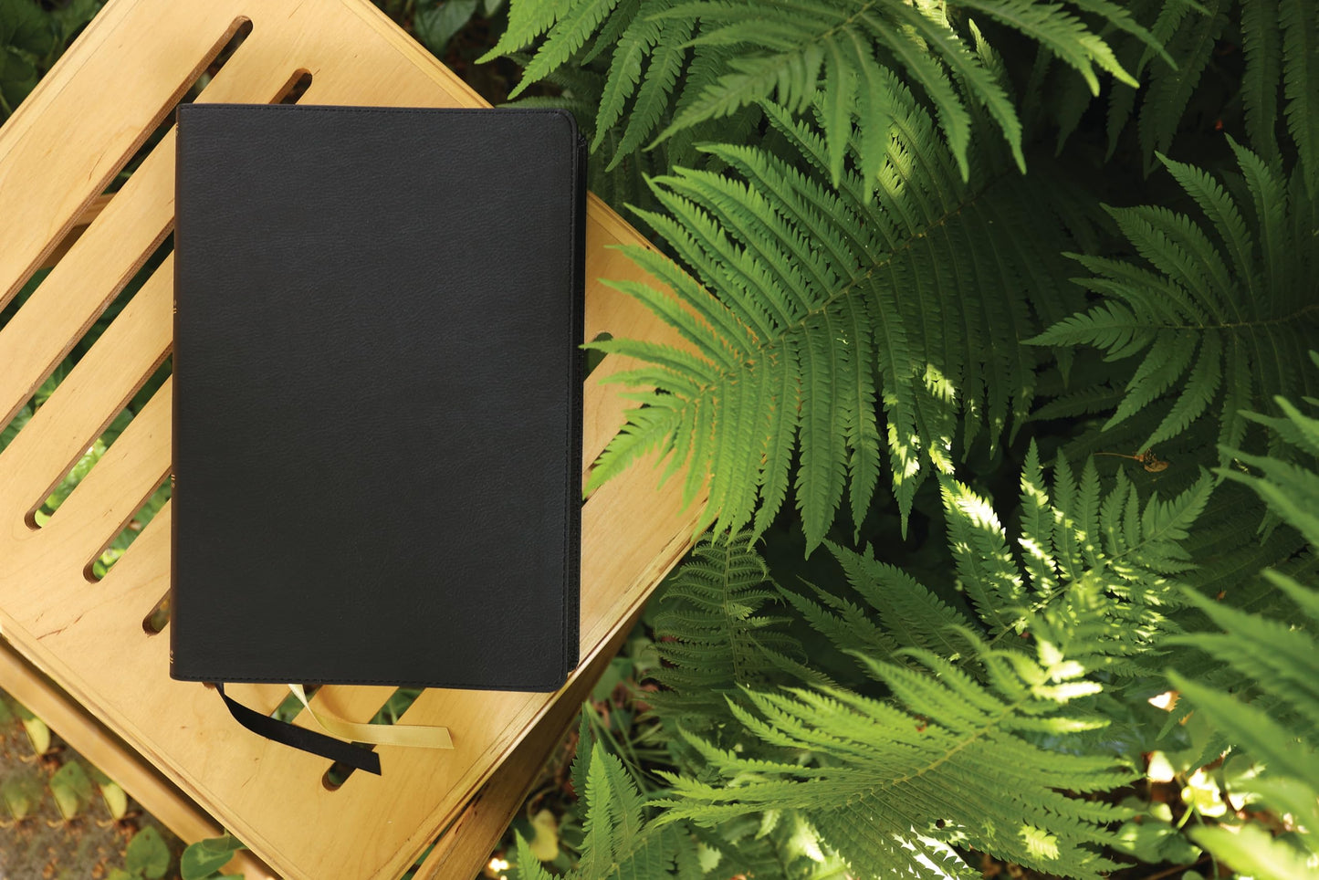 ESV, Thompson Chain-Reference Bible, Large Print, Leathersoft, Black, Red Letter