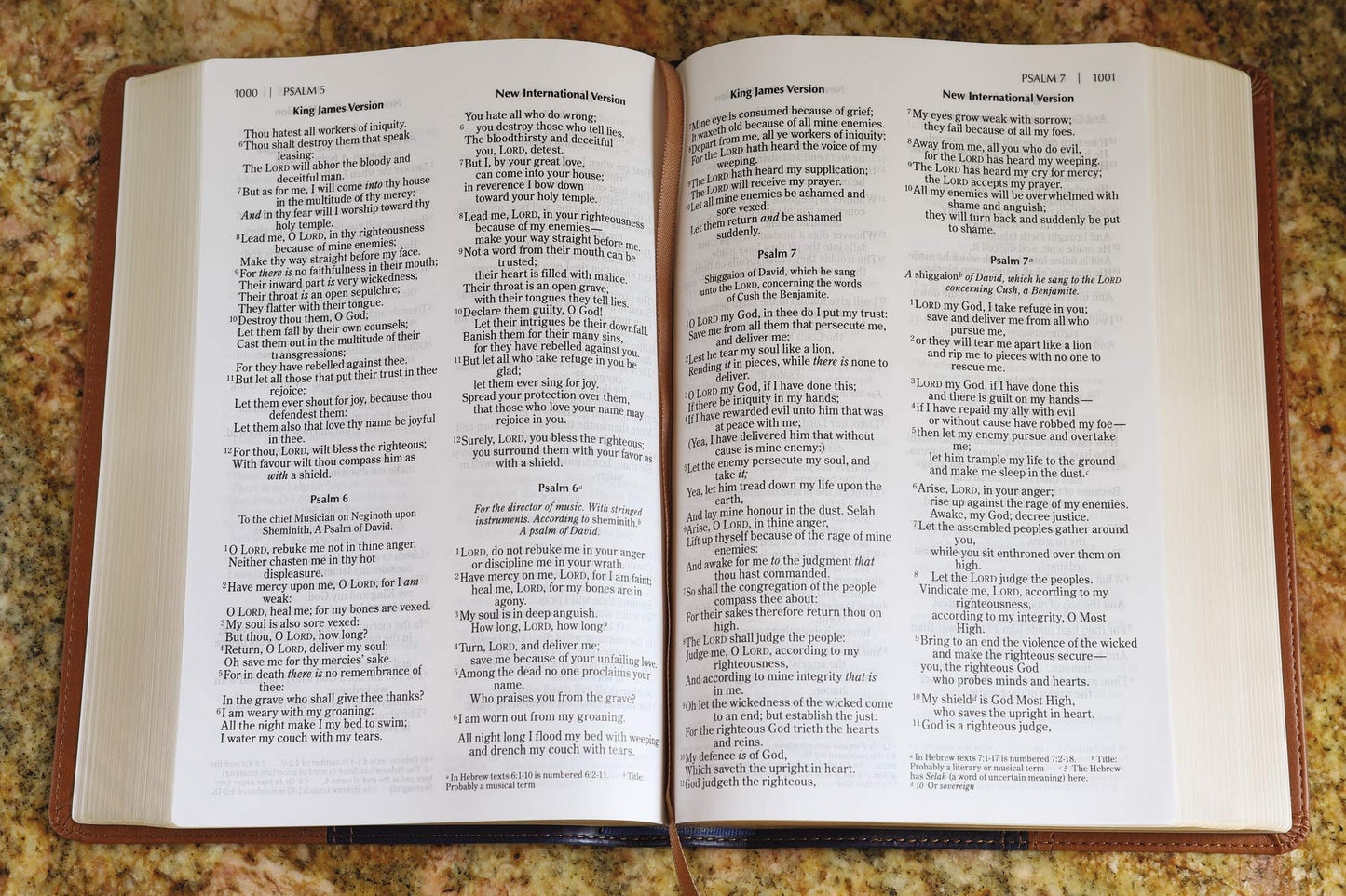 NIV, KJV, Parallel Bible, Large Print, Leathersoft, Navy/Tan: The World's Two Most Popular Bible Translations Together