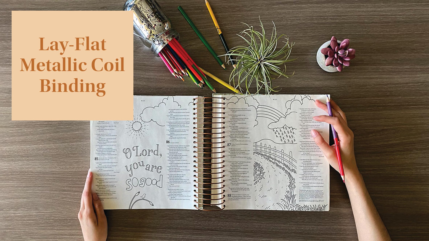 NLT DaySpring Inspire Illustrating Bible, Filament Enabled (Spiral Bound, Mint Floral Garden)