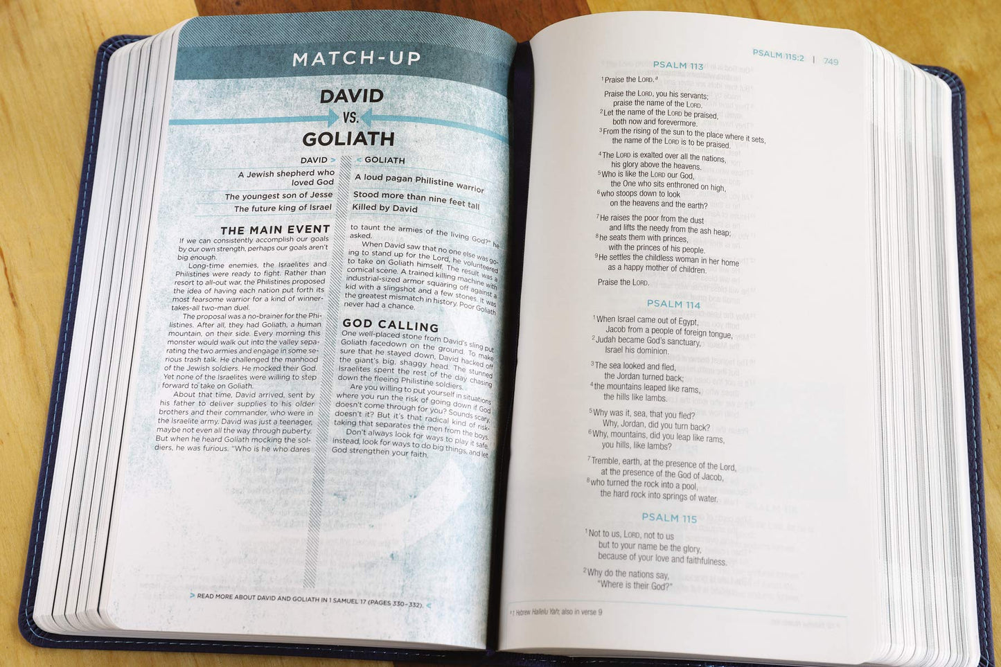 NIV, Revolution Bible, Leathersoft, Blue: The Bible for Teen Guys