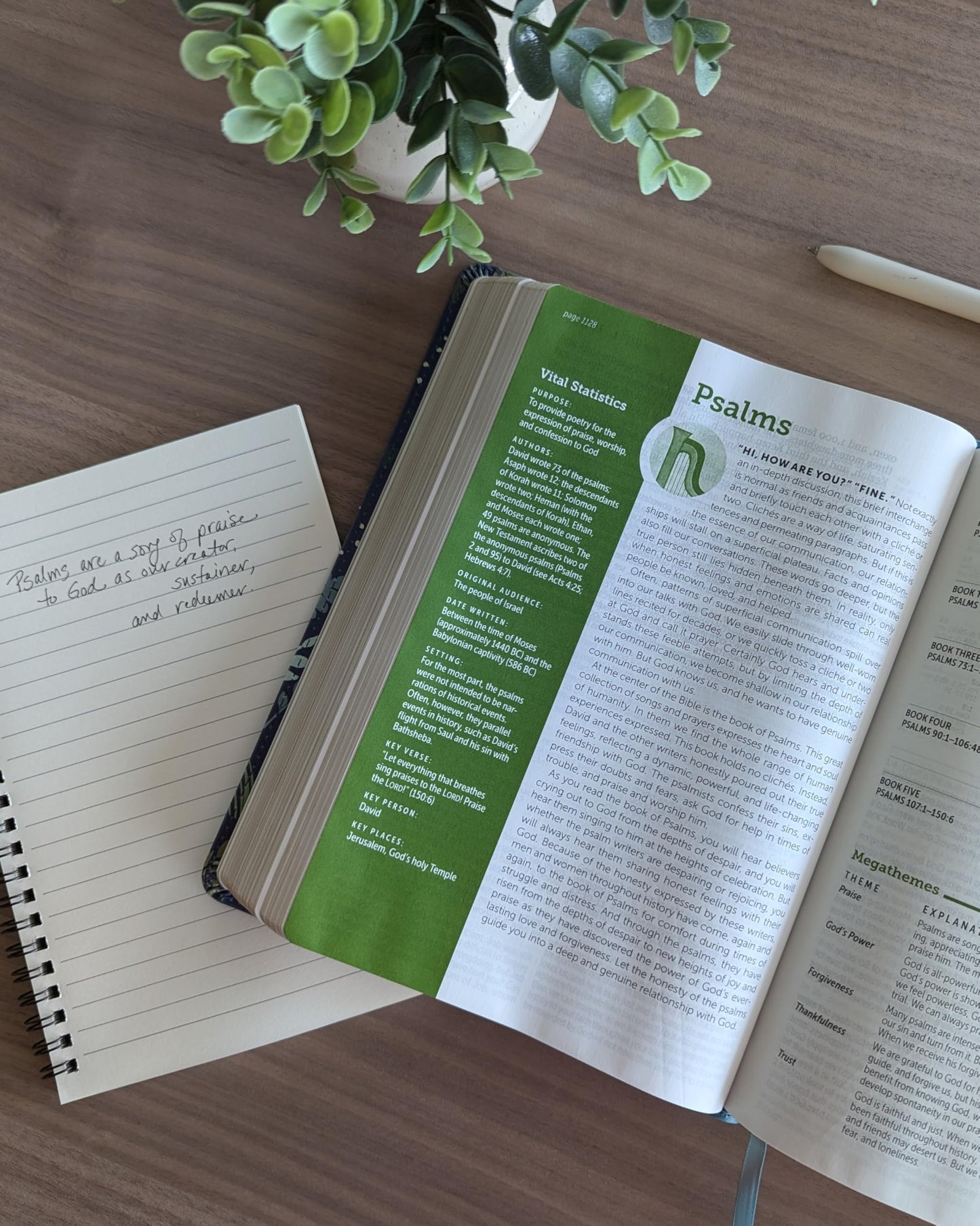 NLT Life Application Study Bible, Third Edition, Large Print (LeatherLike, Meadow Teal, Red Letter)