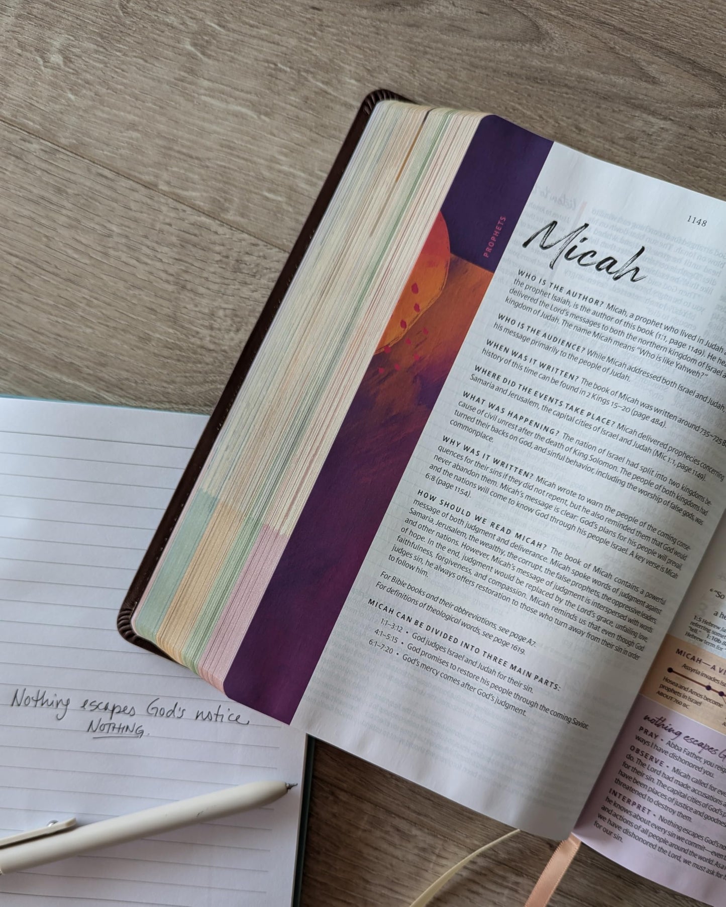 NLT Courage For Life Study Bible for Women, Filament Enabled (Genuine Leather, Brown, Indexed)