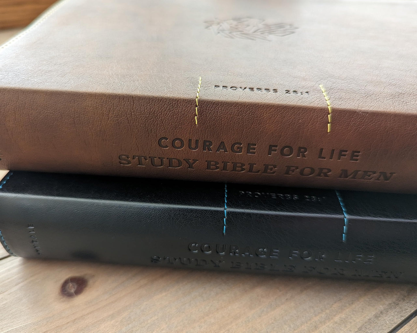 NLT Courage For Life Study Bible for Men, Filament Enabled (LeatherLike, Onyx Lion, Indexed)