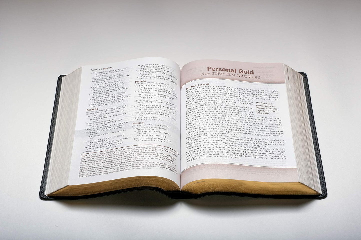 Every Man's Bible NIV, Large Print, TuTone (LeatherLike, Black/Tan)