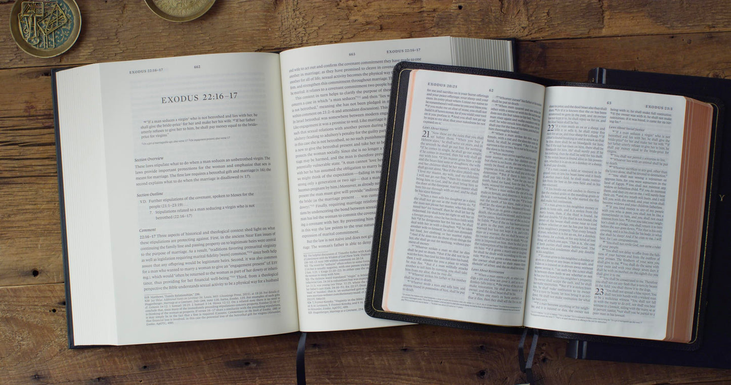 ESV Expository Commentary: Genesis–Numbers (Volume 1)