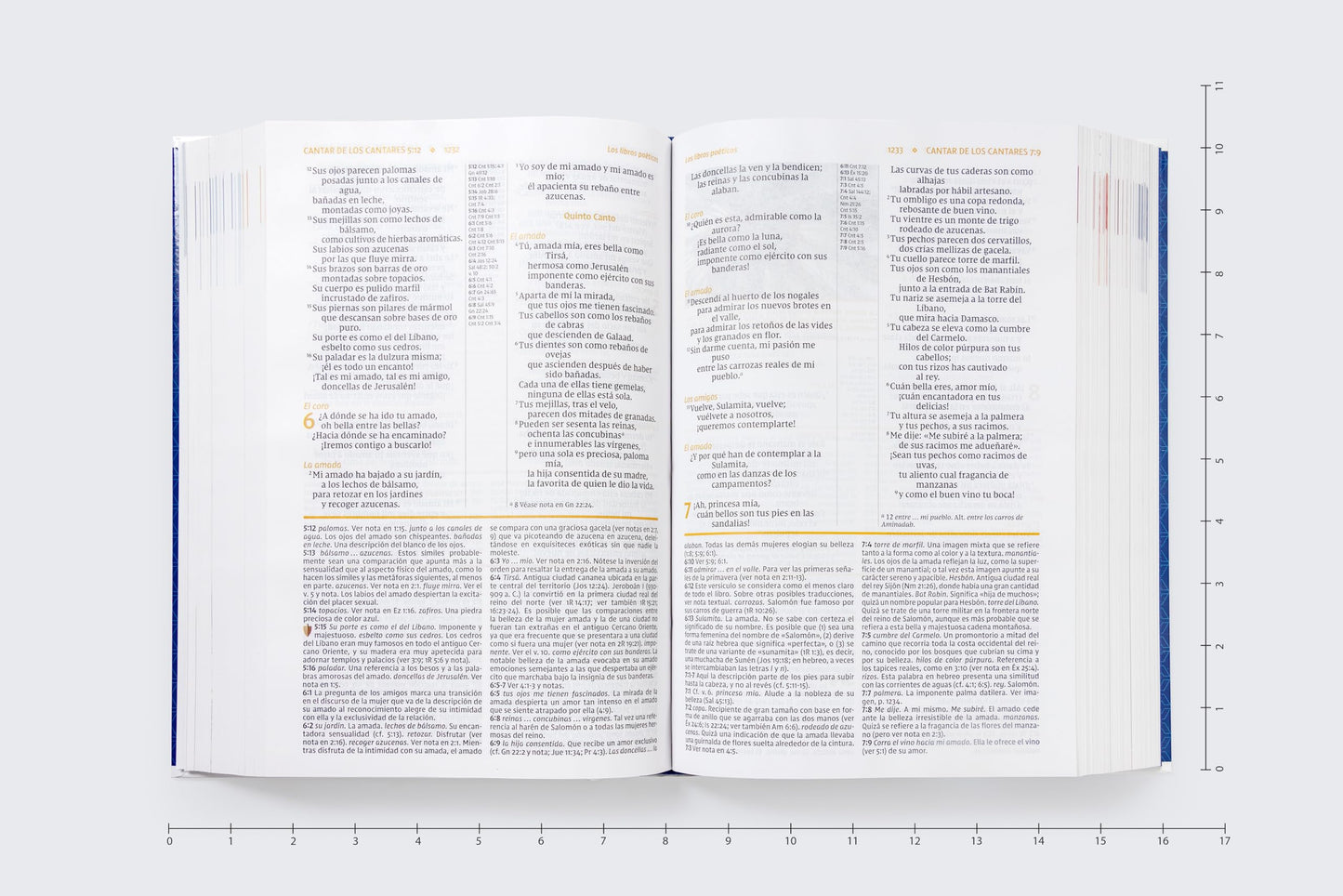 NVI, Biblia de Estudio actualizada, Revisión 2022, Letra grande, Tapa Dura, Interior a color, Palabras de Jesús en Rojo, Comfort Print (NIV Study Bible, Fully Revised Edition) (Spanish Edition)