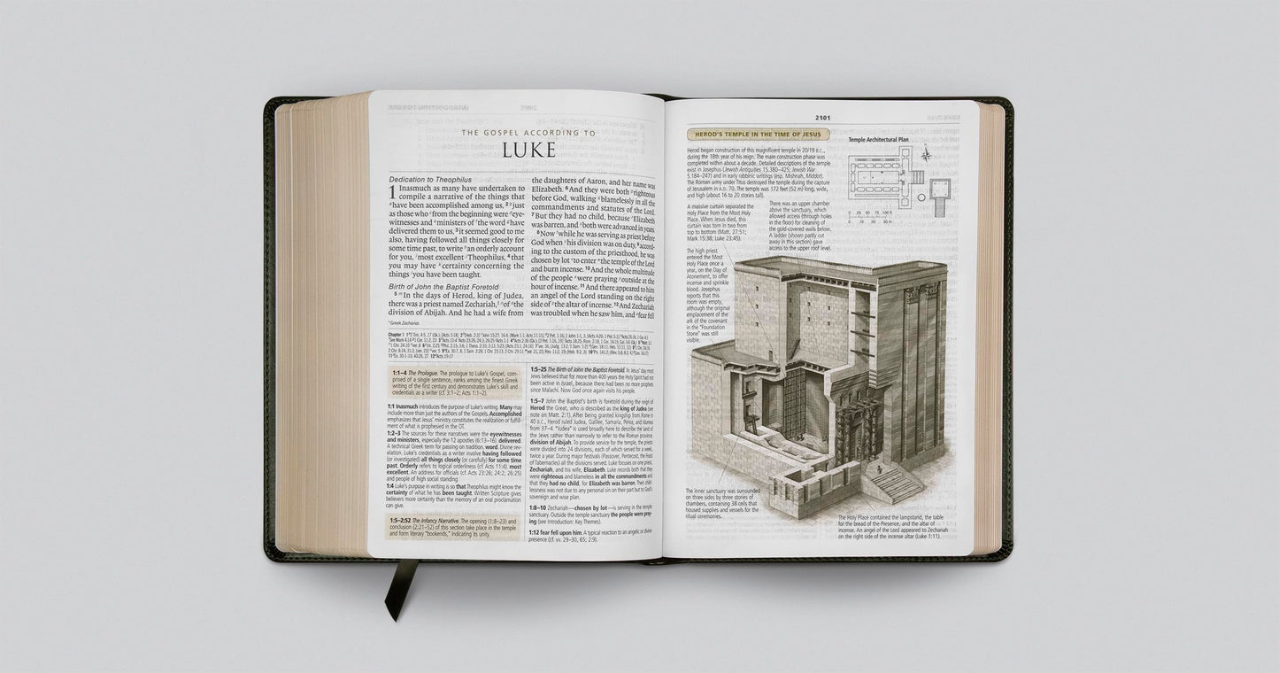 ESV Study Bible, Large Print (TruTone, Olive, Branch Design): Holy Bible, English Standard Version
