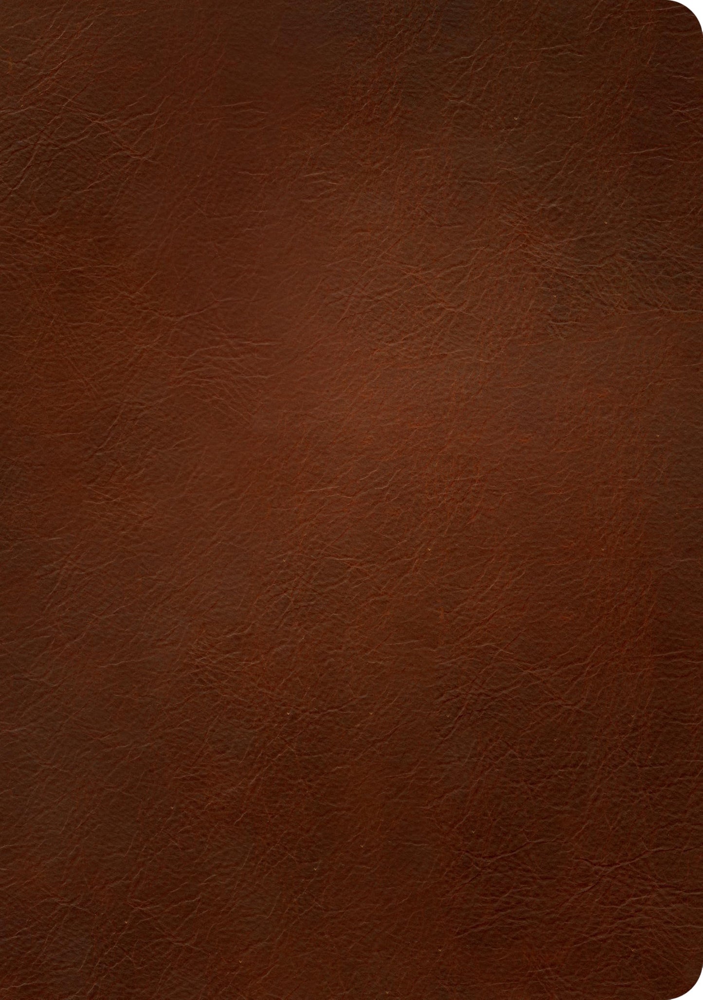 NLT Personal Size Giant Print Bible, Filament Enabled (Genuine Leather, Brown, Indexed, Red Letter): Includes Free Access to the Filament Bible App ... Notes, Devotionals, Worship Music, and Video