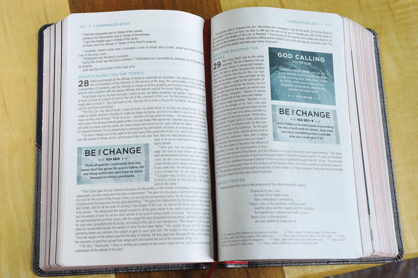 NIV, Revolution Bible, Leathersoft, Gray/Navy: The Bible for Teen Guys