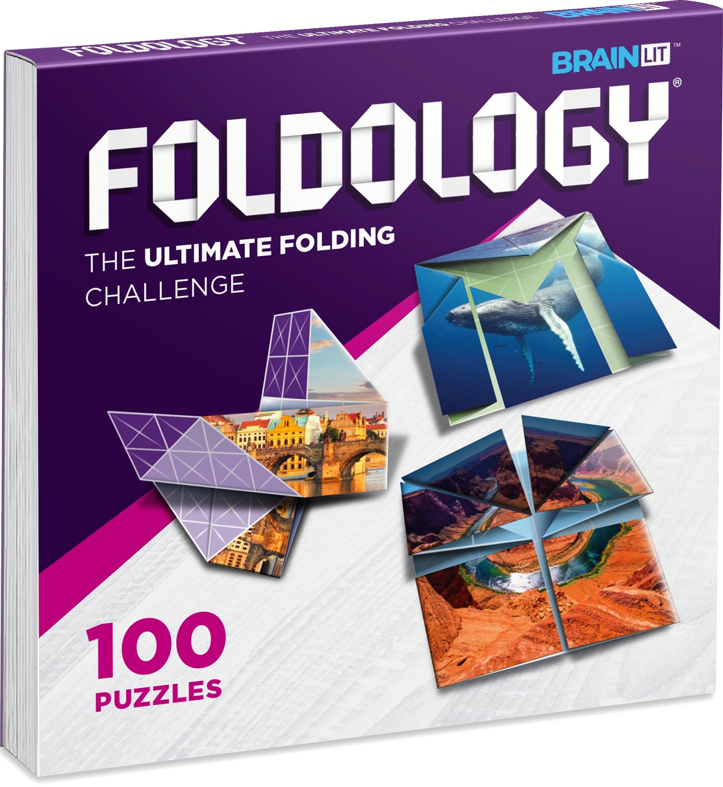FOLDOLOGY - The Origami Puzzle Game! Brain Teasers for Tweens, Teens & Adults | Stocking Stuffer, Gift for Ages 10+, Travel Game, Hands-On STEM Toy | Fold the Paper, Complete the Picture | 100 Puzzles