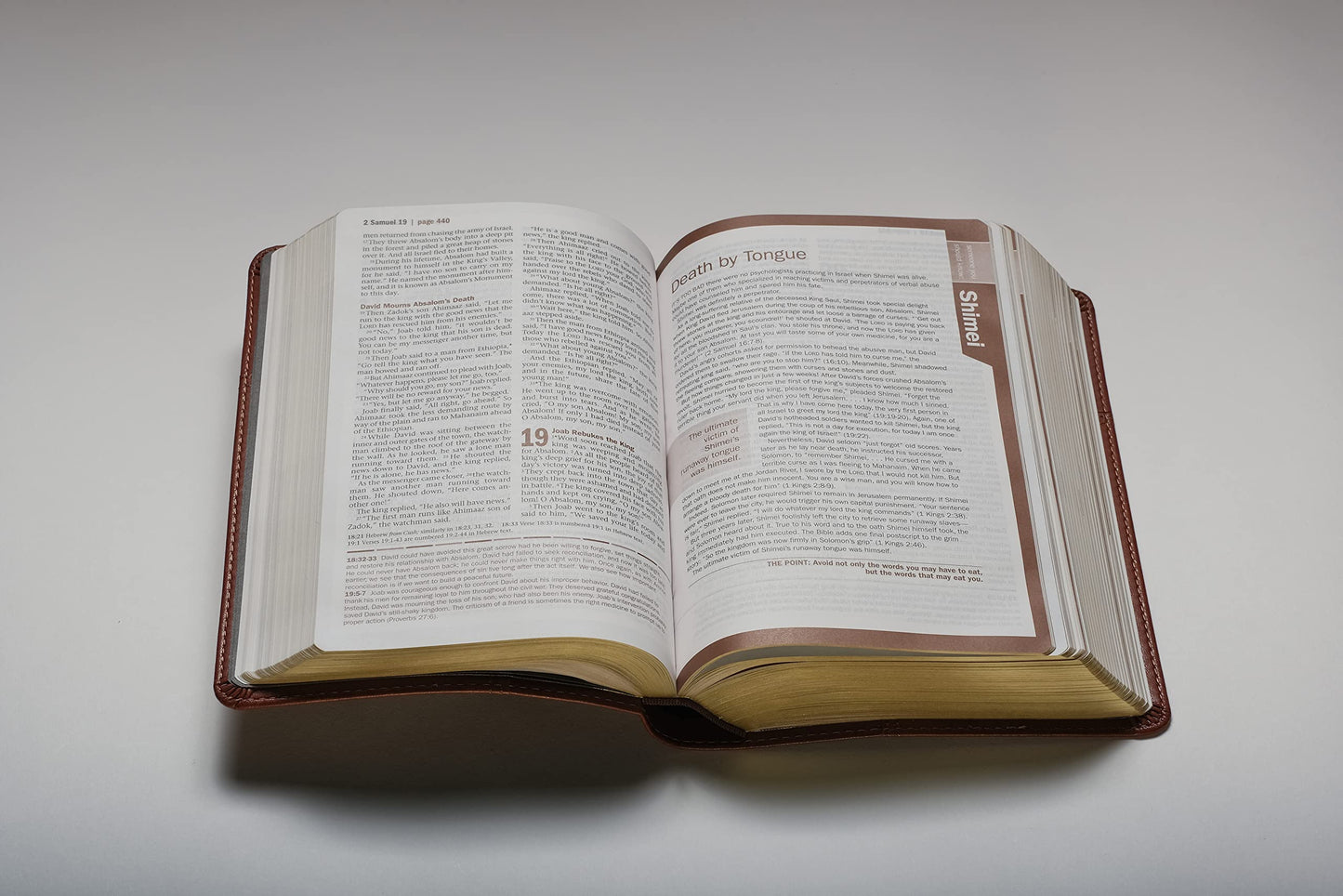 Every Man's Bible NLT, Large Print (LeatherLike, Pursuit Saddle Tan)