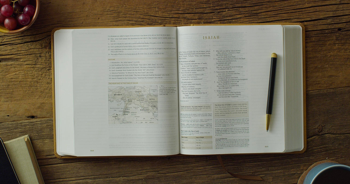 ESV Journaling Study Bible (TruTone over Board, Nubuck Caramel): Holy Bible, English Standard Version