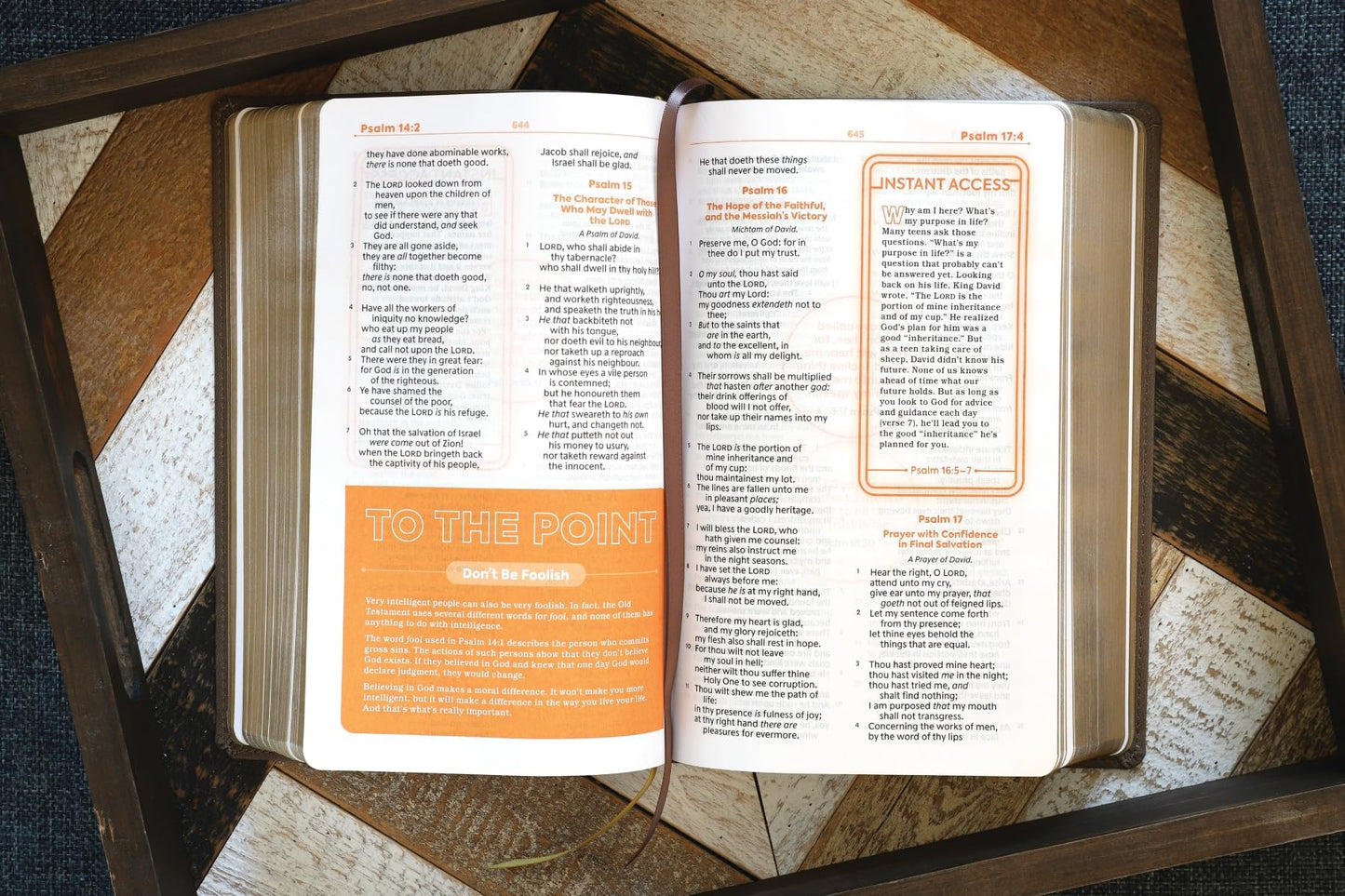 KJV, Teen Study Bible, Leathersoft, Brown, Comfort Print