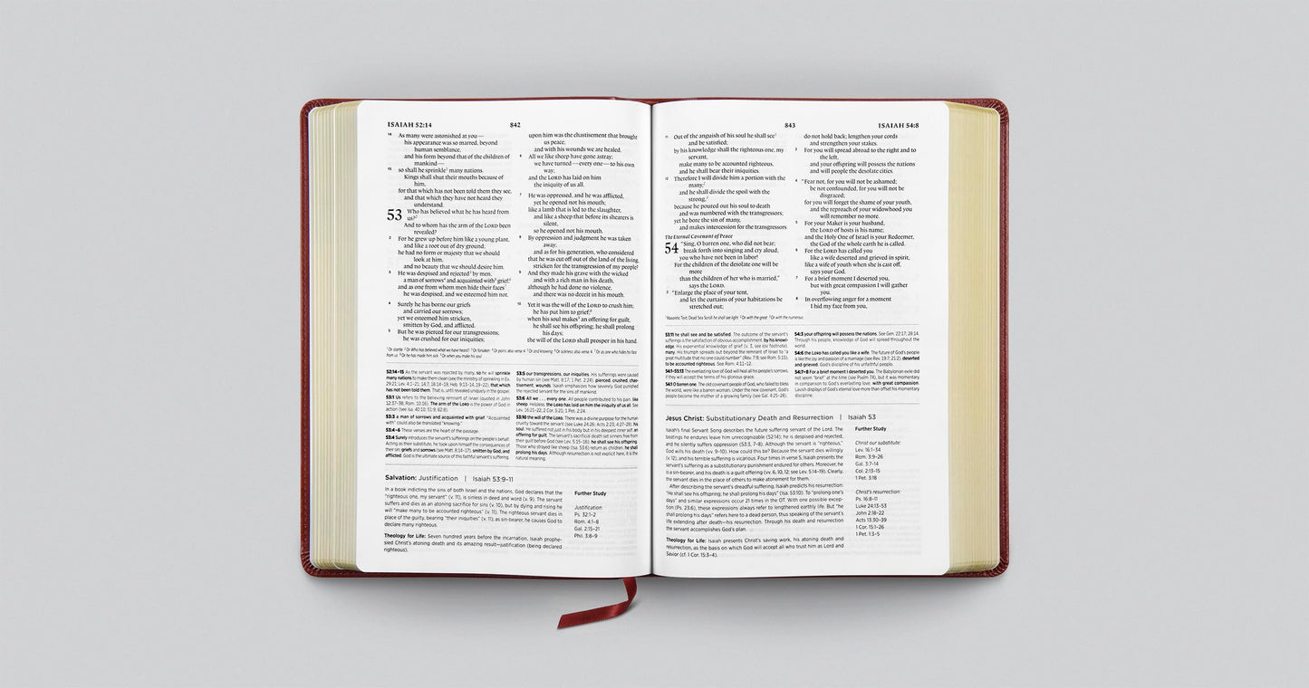ESV Systematic Theology Study Bible: Theology Rooted in the Word of God (TruTone, Chestnut)