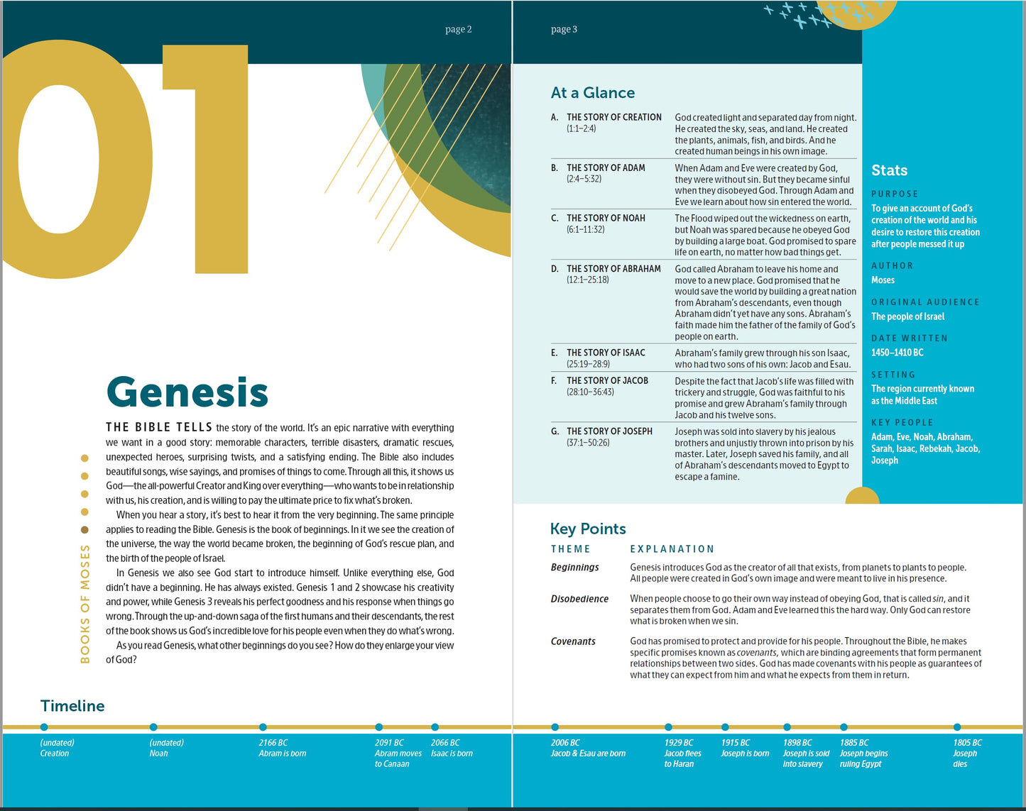 NLT Student Life Application Study Bible, Filament Enabled (LeatherLike, Charcoal Gray Striped, Indexed, Red Letter)