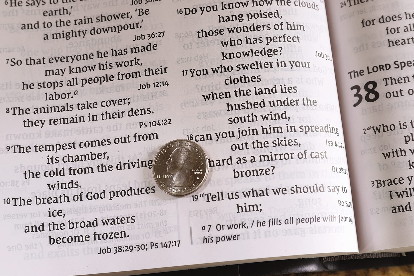 NIV, Super Giant Print Reference Bible (Font Size: 16.5-point), Leathersoft, Gray, Red Letter, Thumb Indexed, Comfort Print